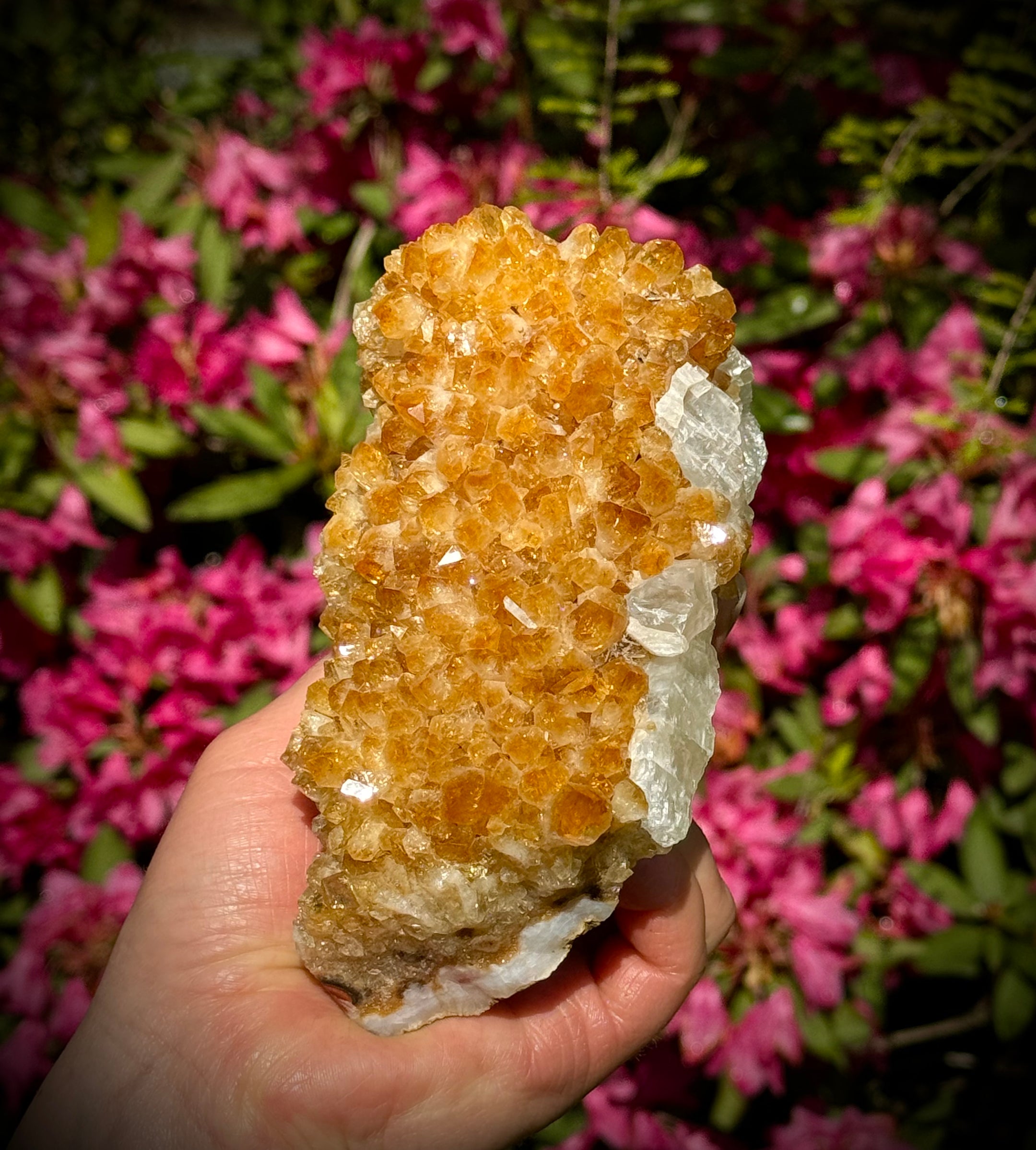 Belle grande grappe de citrines avec inclusion de quartz du Brésil, 797 grammes, qualité A+++ super extra, traitée thermiquement