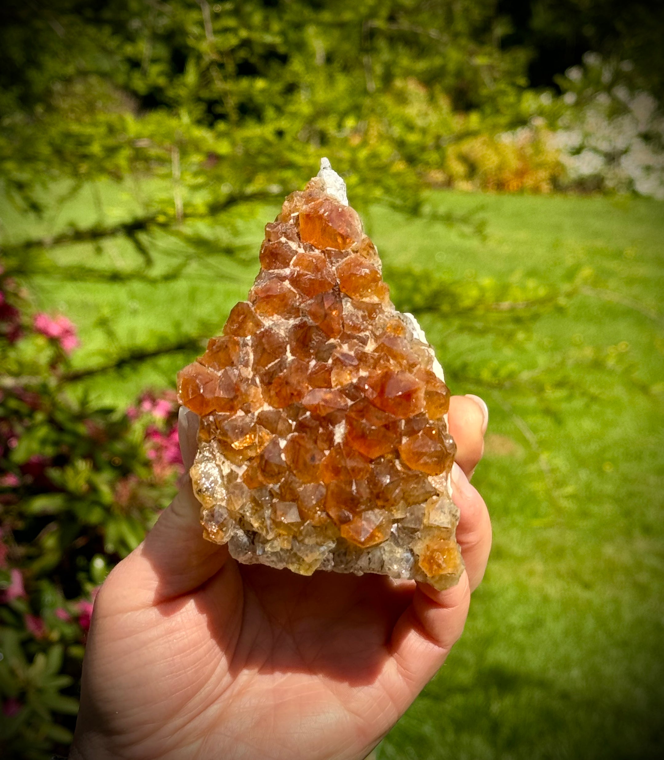 Belle grappe de citrine du Brésil, 406 grammes, qualité A+++ Super Extra, traitée thermiquement