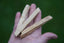 Authentic Palo Santo Incense Sticks - Natural, Sustainable, Aromatic Wood for Cleansing, Meditation, and Spiritual Healing