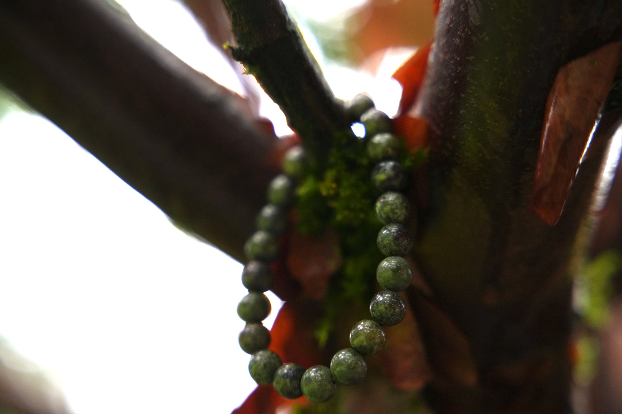 Natural Bloodstone Bracelet 8mm Beads, Stretch Band, Handmade Gemstone Jewelry, Healing Crystal, Unisex Gift,