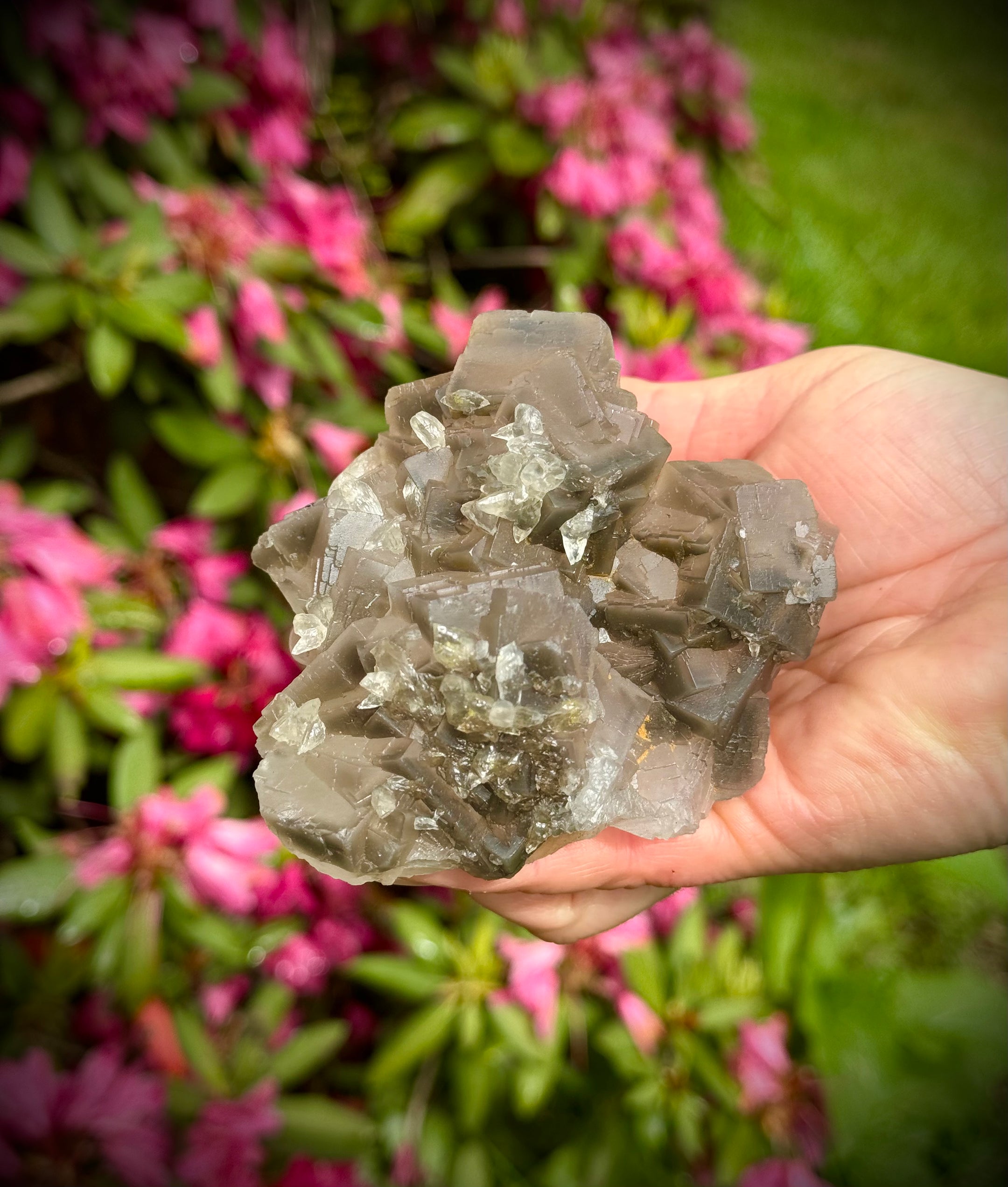 Beautiful Cubic Fluorite Cluster from Pakistan, Top Grade, A+++ Quality - The Celestial Boutique