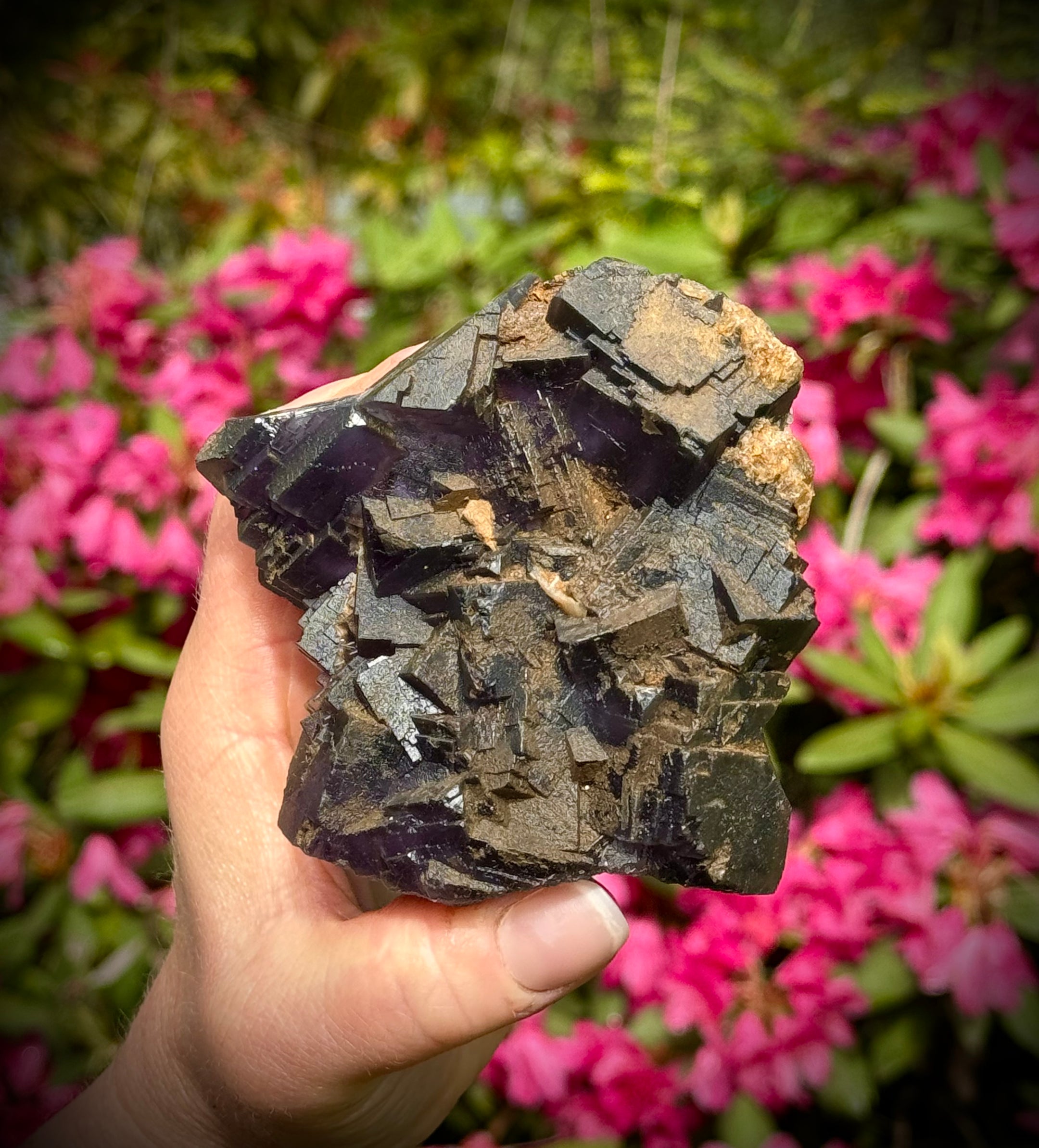 Magnifique spécimen de fluorite violette cubique du Pakistan, qualité supérieure, qualité A+++