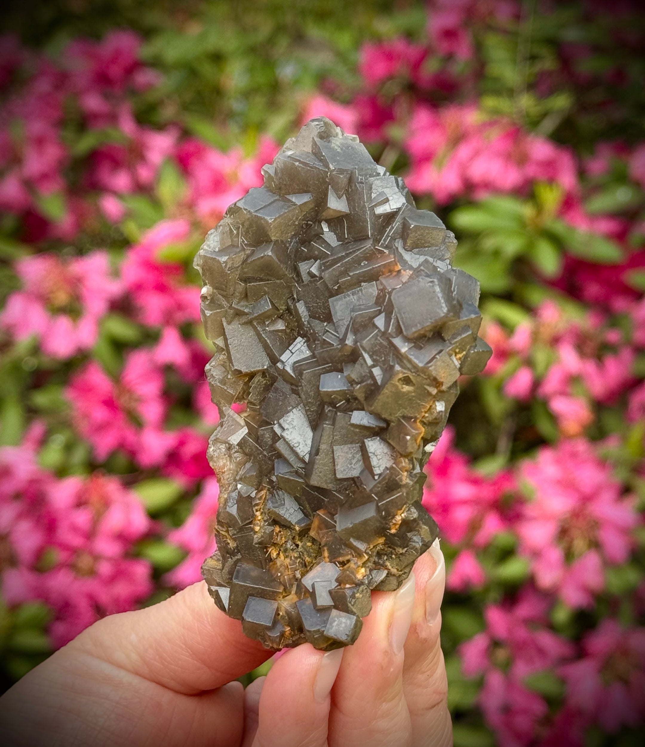 Beautiful Cubic Brown Fluorite Specimen from Pakistan, Top Grade, A++ Quality - The Celestial Boutique