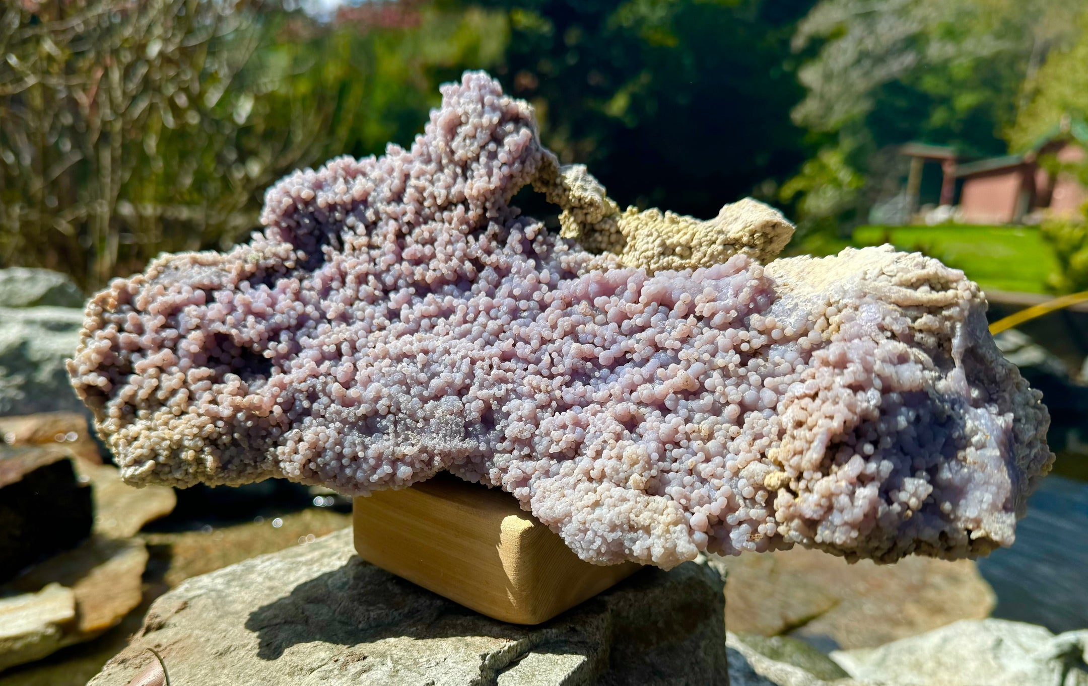 XXL Grape Agate 2466 Grams - Premium Quality Natural Crystal for Collectors and Decor - The Celestial Boutique