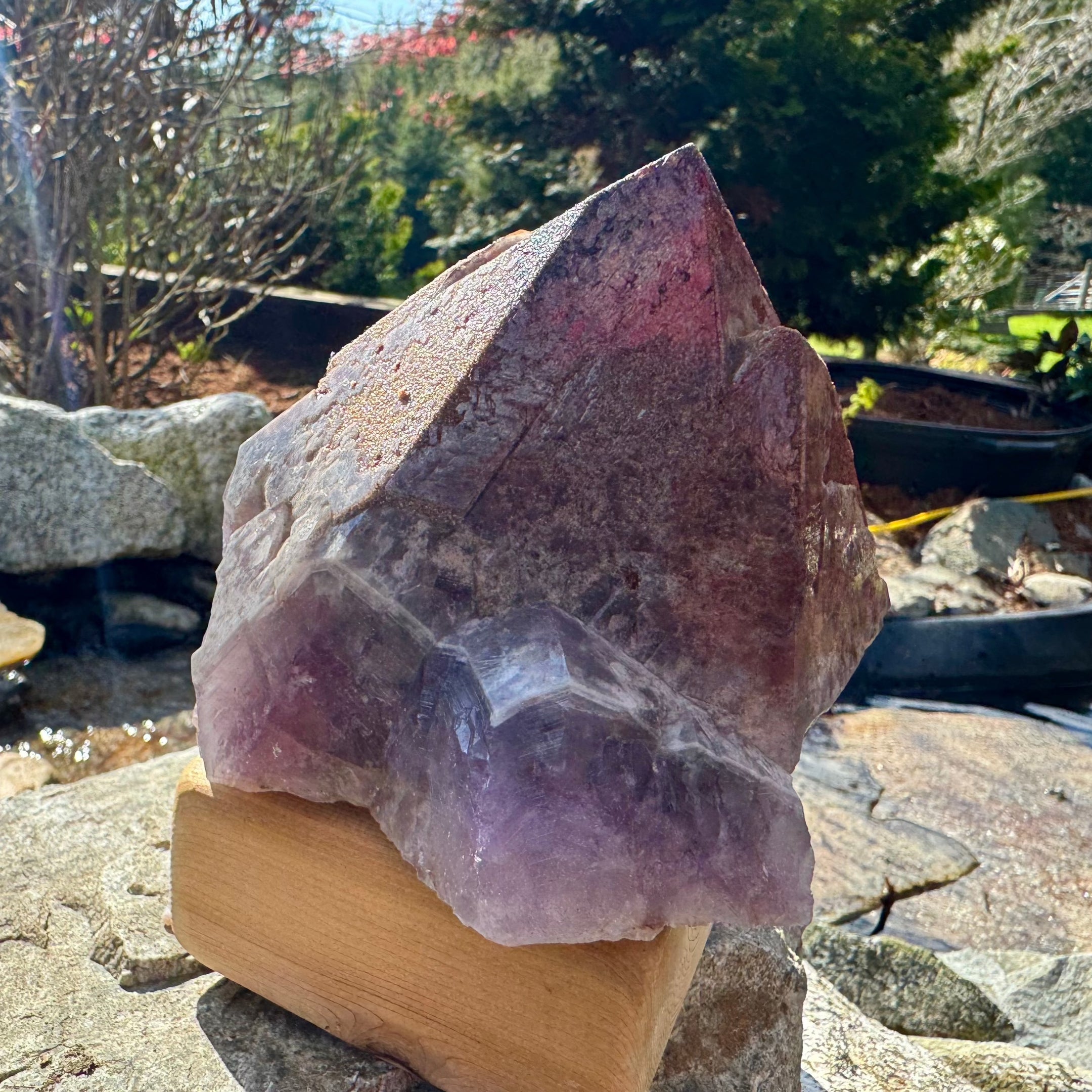 Natural Auralite 23 XXL 1266g Red Cap Point, Freestanding, Statement Piece, Authentic, Beautiful, Rare Gemstone, Healing Crystal - The Celestial Boutique