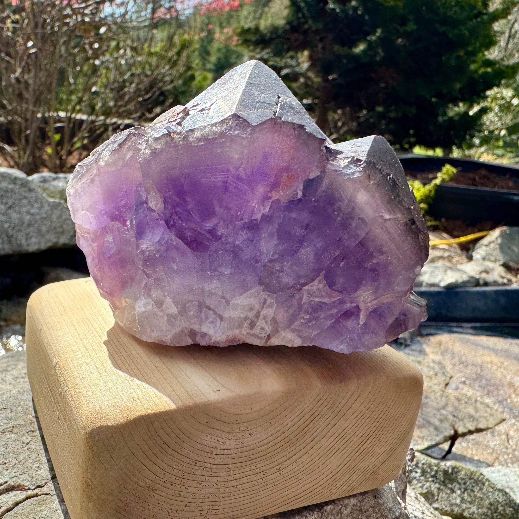 Natural Auralite 23 Volcanic Ash Point 443g, Freestanding, Statement Piece, Authentic, Beautiful, Rare Gemstone, Healing Crystal - The Celestial Boutique