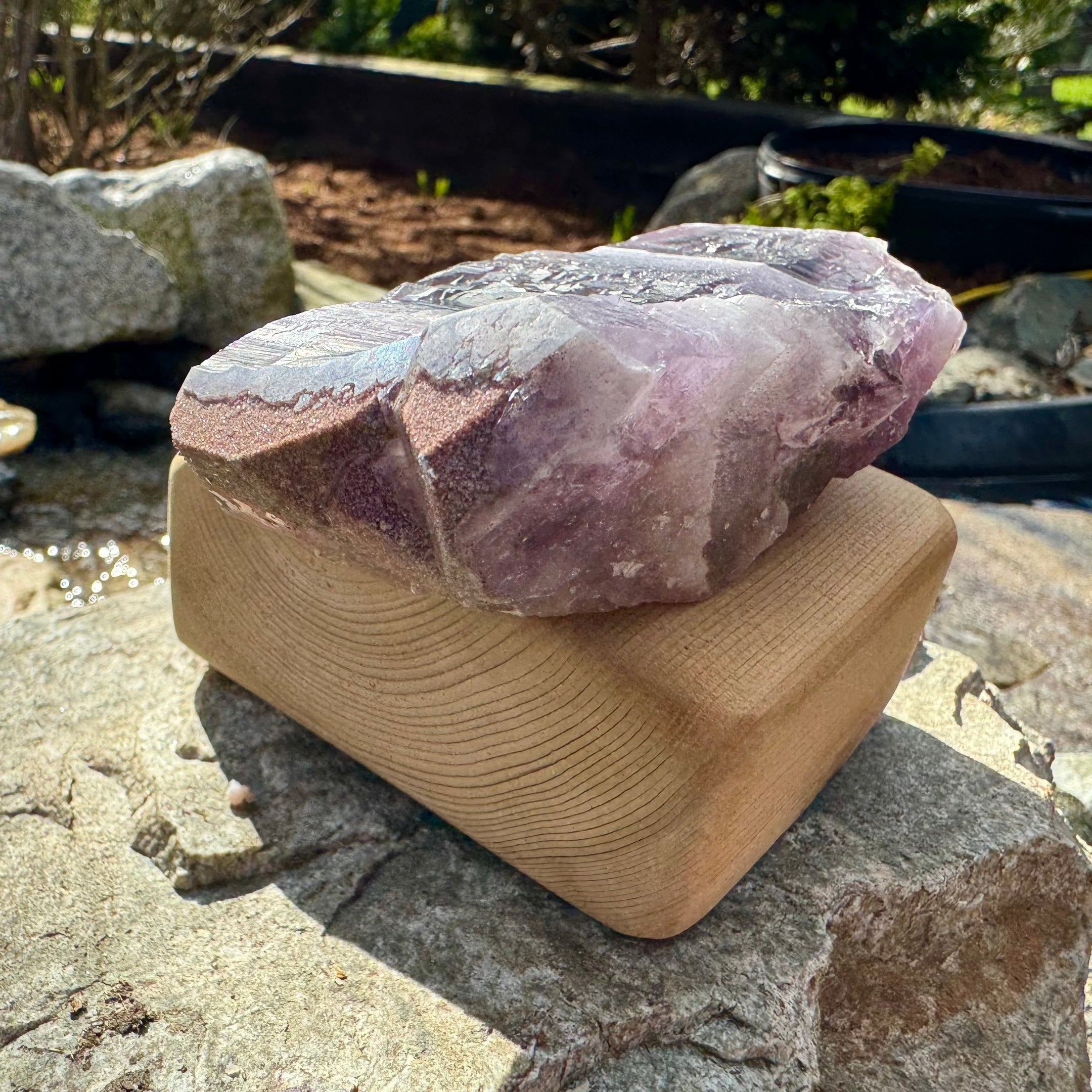 Natural Auralite 23 Point with Dusty Red Cap 347g, Authentic, Beautiful, Rare Gemstone, Healing Crystal, Statement Piece - The Celestial Boutique