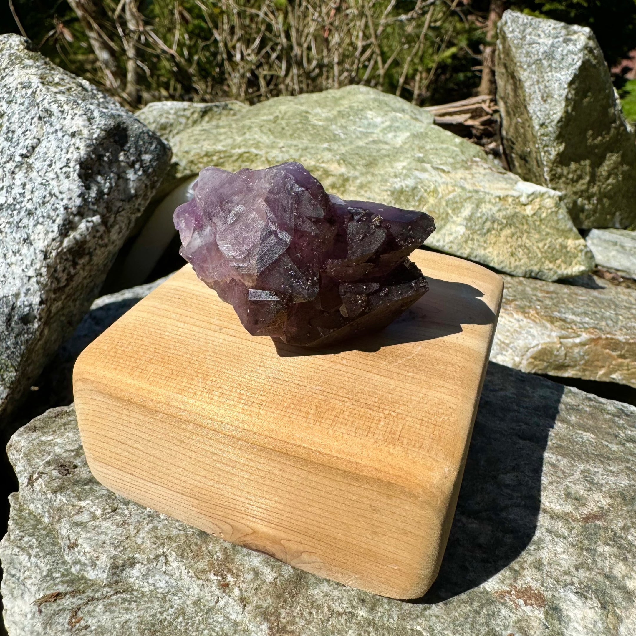 Natural Auralight 23 point, Black Cherry Auralight, 87 grams, AR-08, Authentic, Beautiful and Rare - The Celestial Boutique