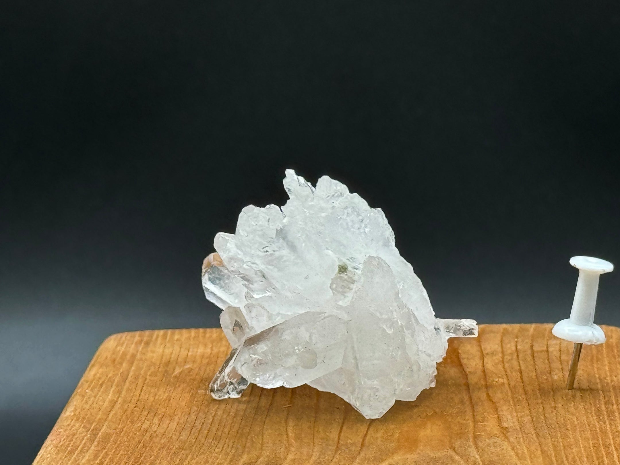 Clear Quartz Cluster from Pakistan, Beautiful Inclusions, Top Grade, A+++ Quality - The Celestial Boutique