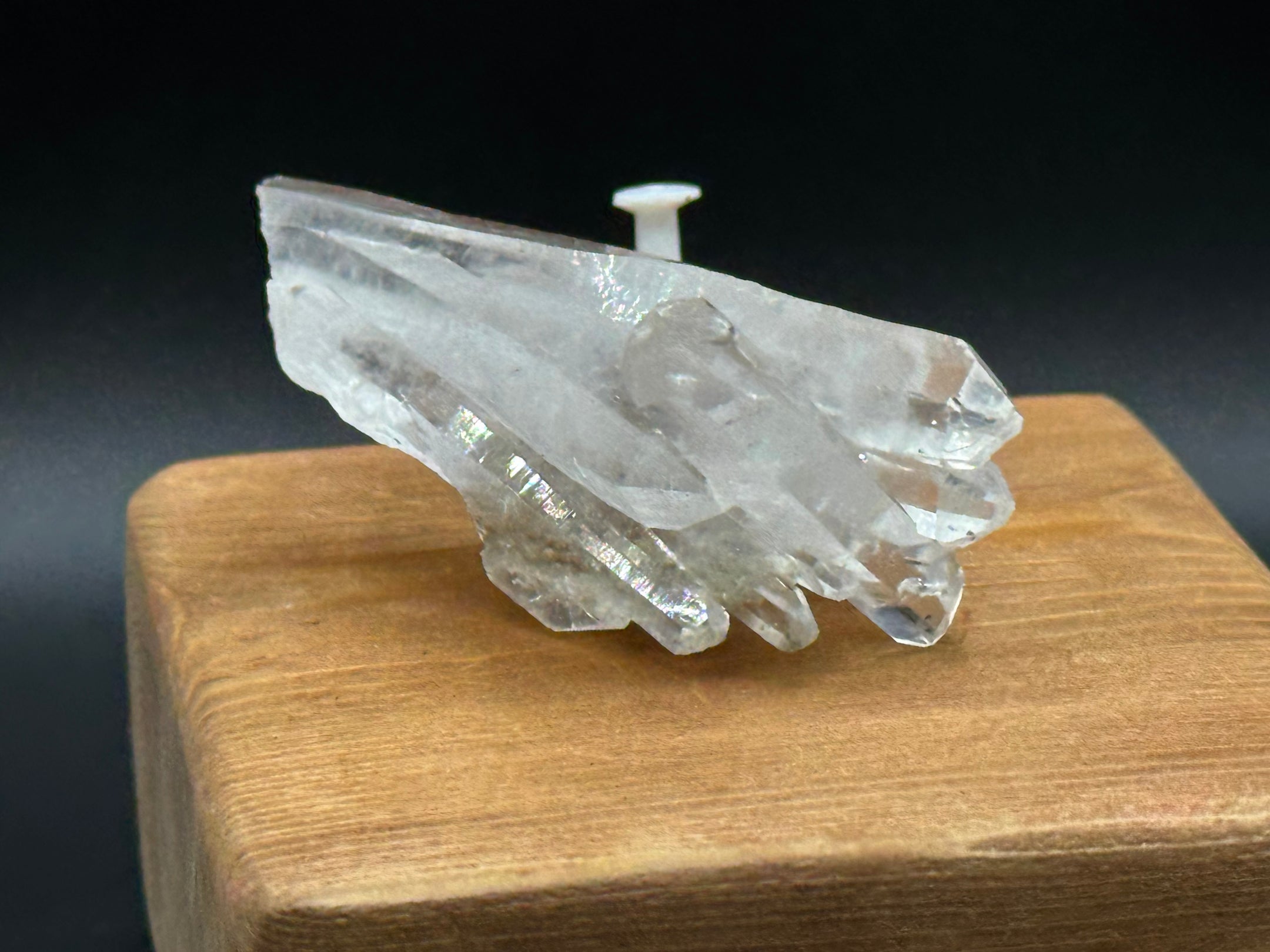 Clear Faden Quartz Cluster from Pakistan, Clear Quartz with Faden Inclusions, A+++ Quality - The Celestial Boutique