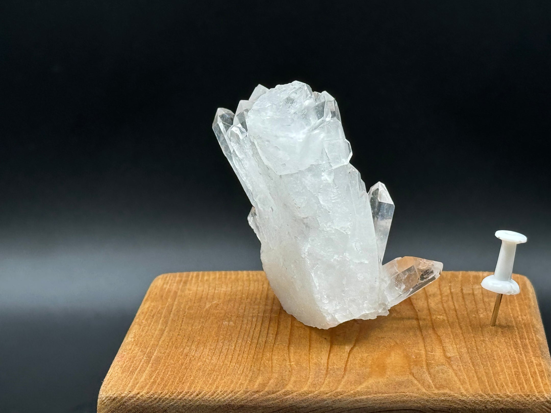 Clear Faden Quartz Cluster from Pakistan, Clear Quartz with Faden Inclusions, A+++ Quality - The Celestial Boutique