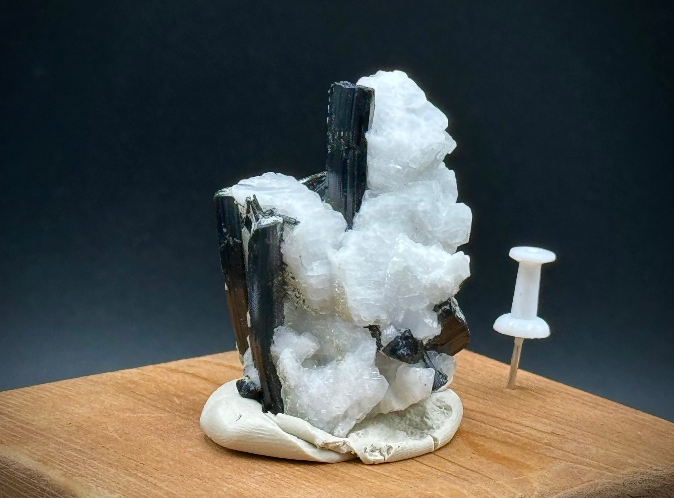 Natural Black Schorl Tourmaline with Feldspar from Pakistan, Beautiful, A+++ Collectors Grade - The Celestial Boutique