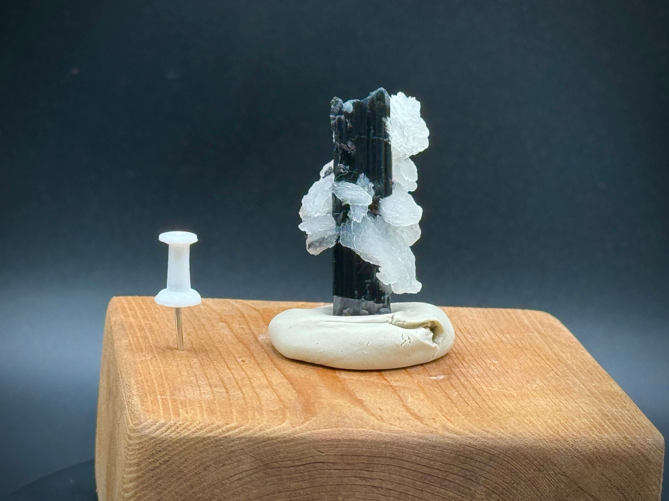 Tourmaline Schorl noire naturelle avec calcite du Pakistan, belle, qualité collectionneurs A+++