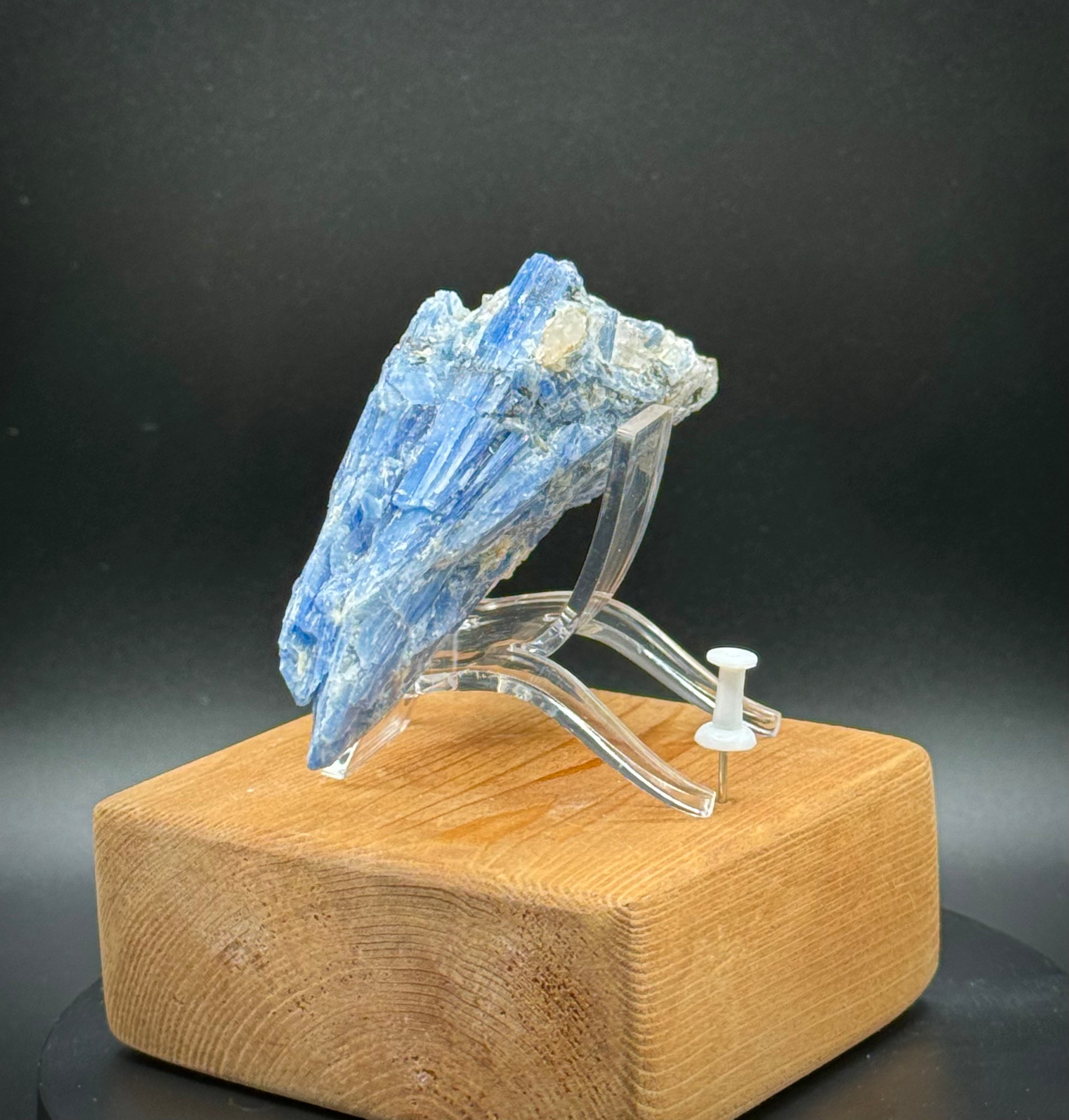 Beautiful Blue Kyanite with Quartz Cluster from Brazil, 171 Grams, A+++ Super Extra Quality, Unique Piece! - The Celestial Boutique