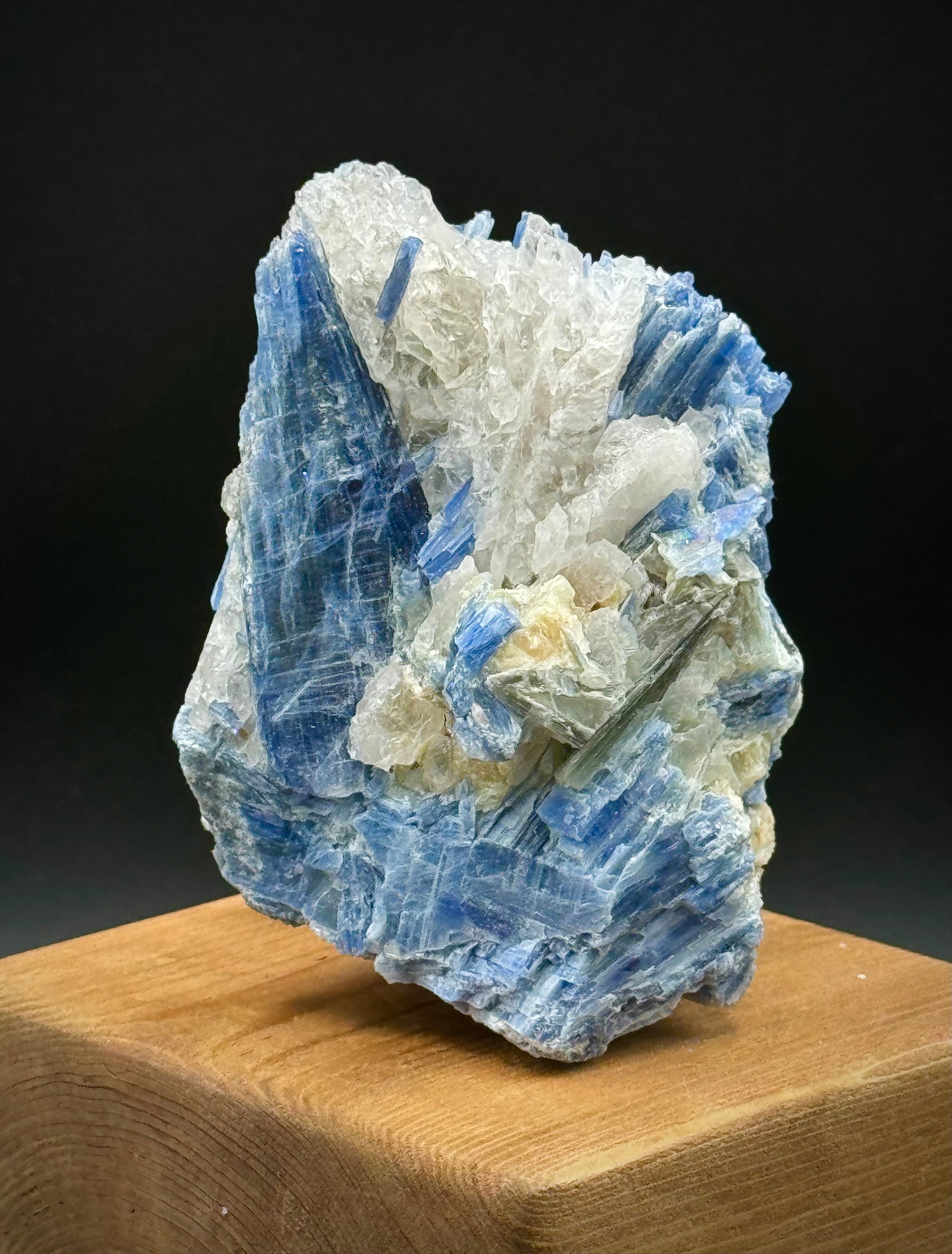 Beautiful Blue Kyanite with Quartz Cluster from Brazil, 326 Grams, A+++ Super Extra Quality, Unique Piece! - The Celestial Boutique