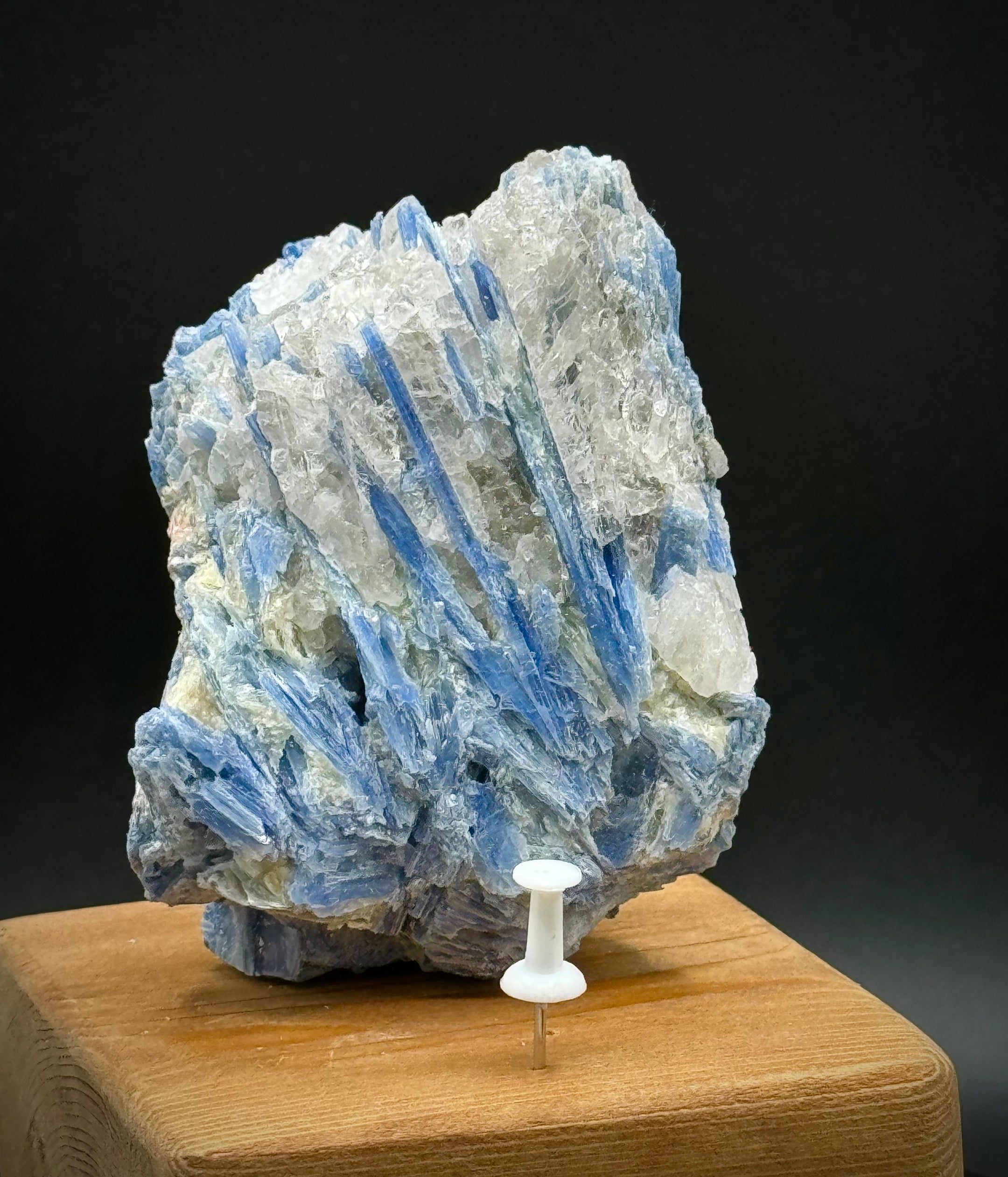 Beautiful Blue Kyanite with Quartz Cluster from Brazil, 326 Grams, A+++ Super Extra Quality, Unique Piece! - The Celestial Boutique