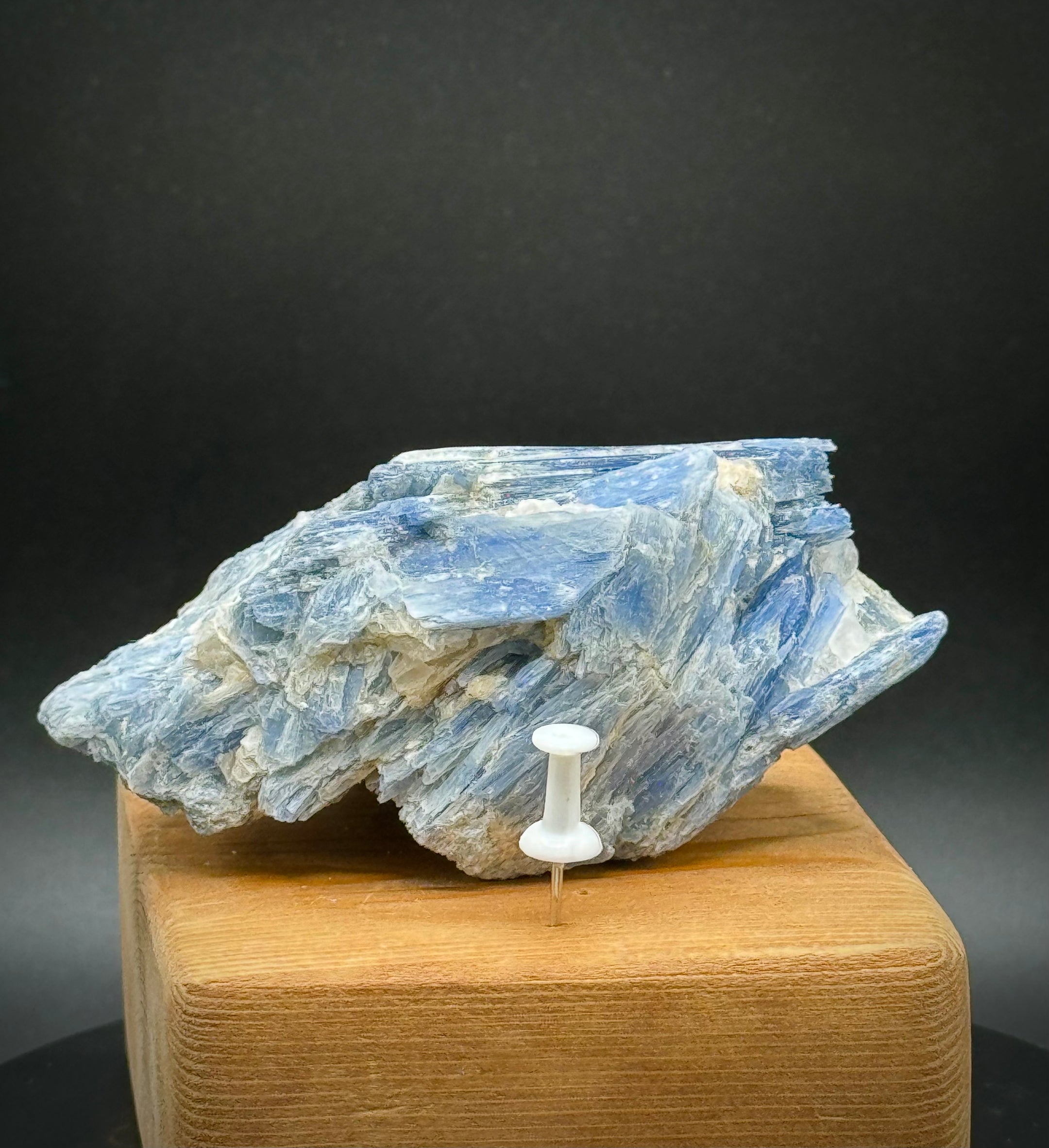 Beautiful Blue Kyanite with Quartz Specimen from Brazil, 232 Grams, A+++ Super Extra Quality, Unique Piece! - The Celestial Boutique