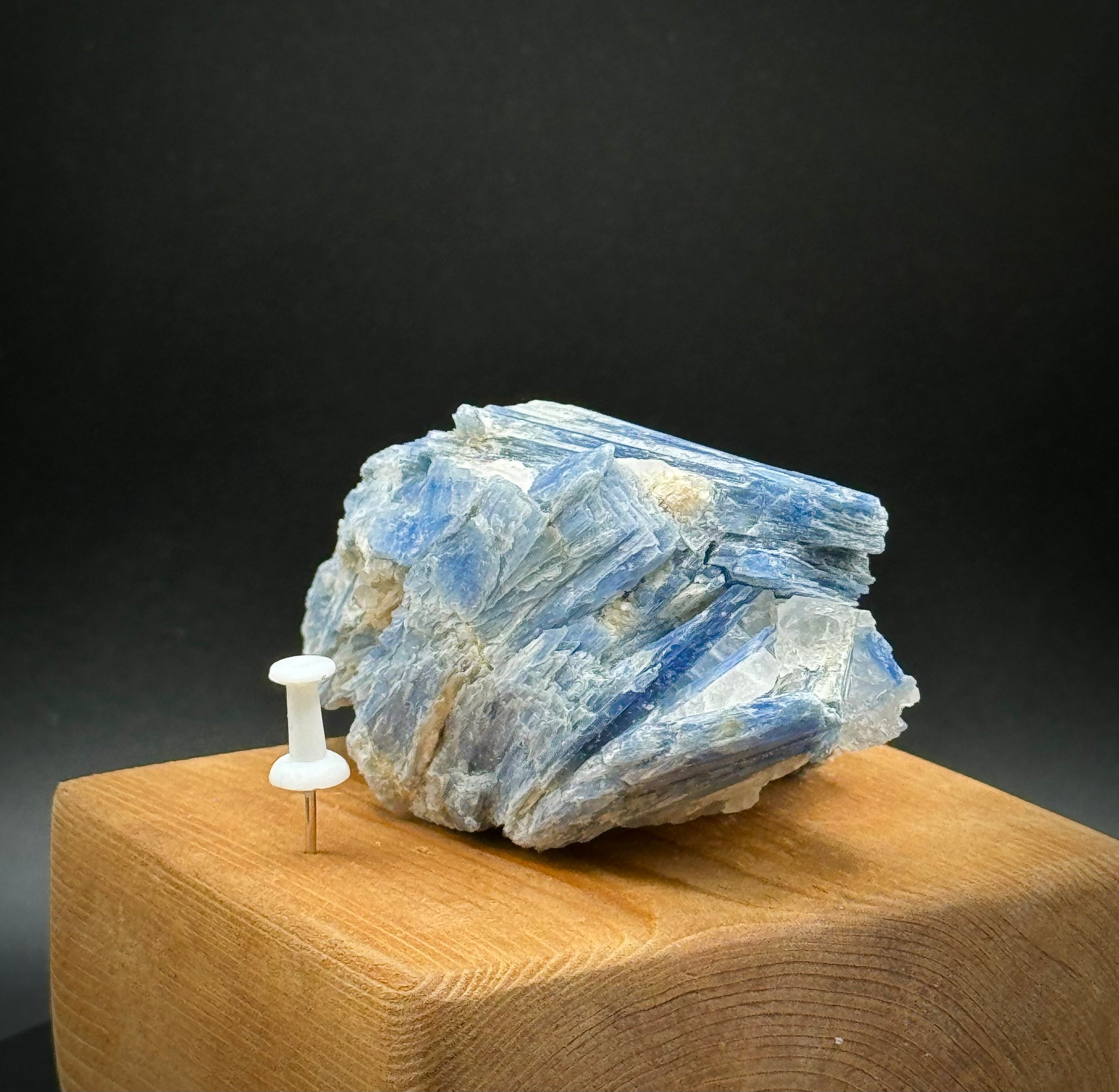 Beautiful Blue Kyanite with Quartz Specimen from Brazil, 232 Grams, A+++ Super Extra Quality, Unique Piece! - The Celestial Boutique