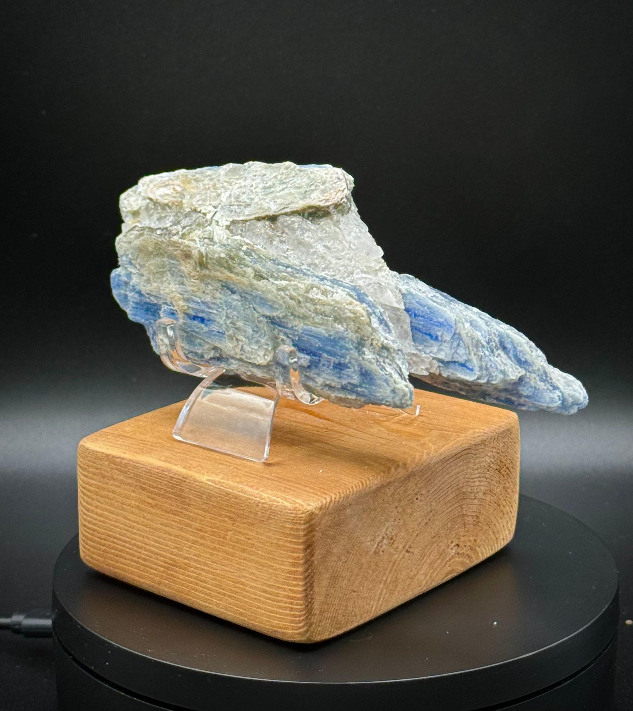 Beautiful Blue Kyanite with Quartz Specimen from Brazil, 221 Grams, A+++ Super Extra Quality, Unique Piece! - The Celestial Boutique