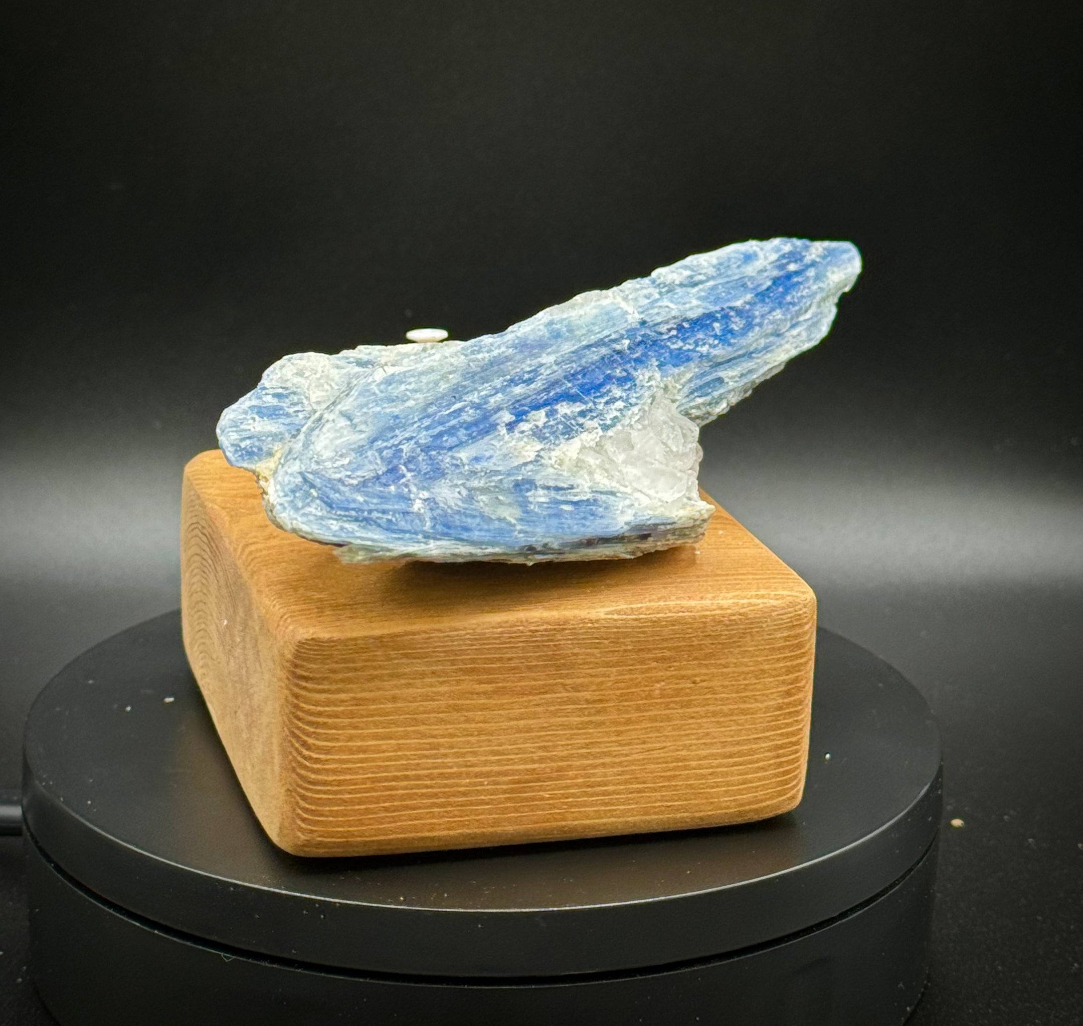 Beautiful Blue Kyanite with Quartz Specimen from Brazil, 221 Grams, A+++ Super Extra Quality, Unique Piece! - The Celestial Boutique