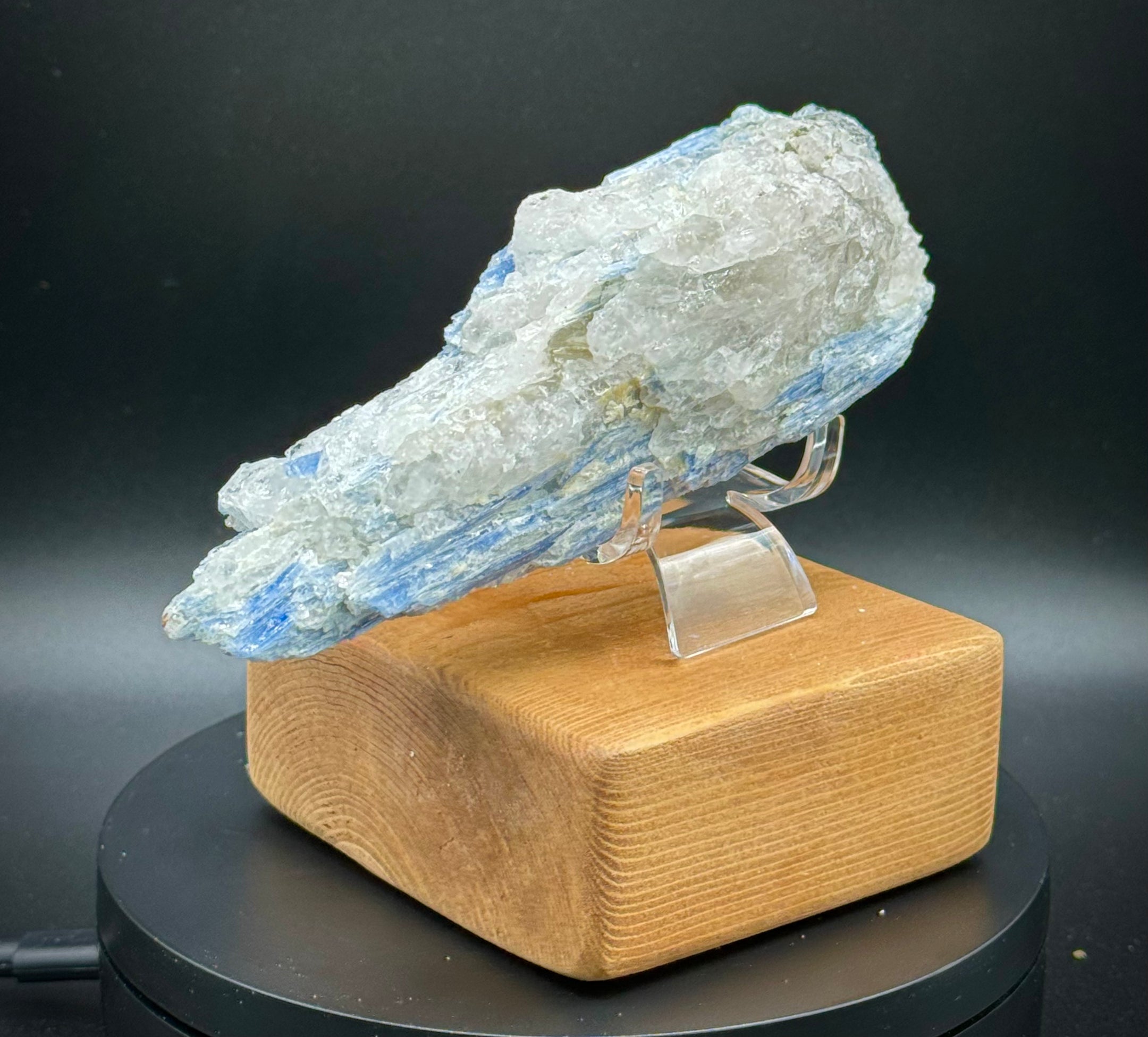 Beautiful Blue Kyanite with Quartz Cluster from Brazil, 260 Grams, A+++ Super Extra Quality, Unique Piece! - The Celestial Boutique