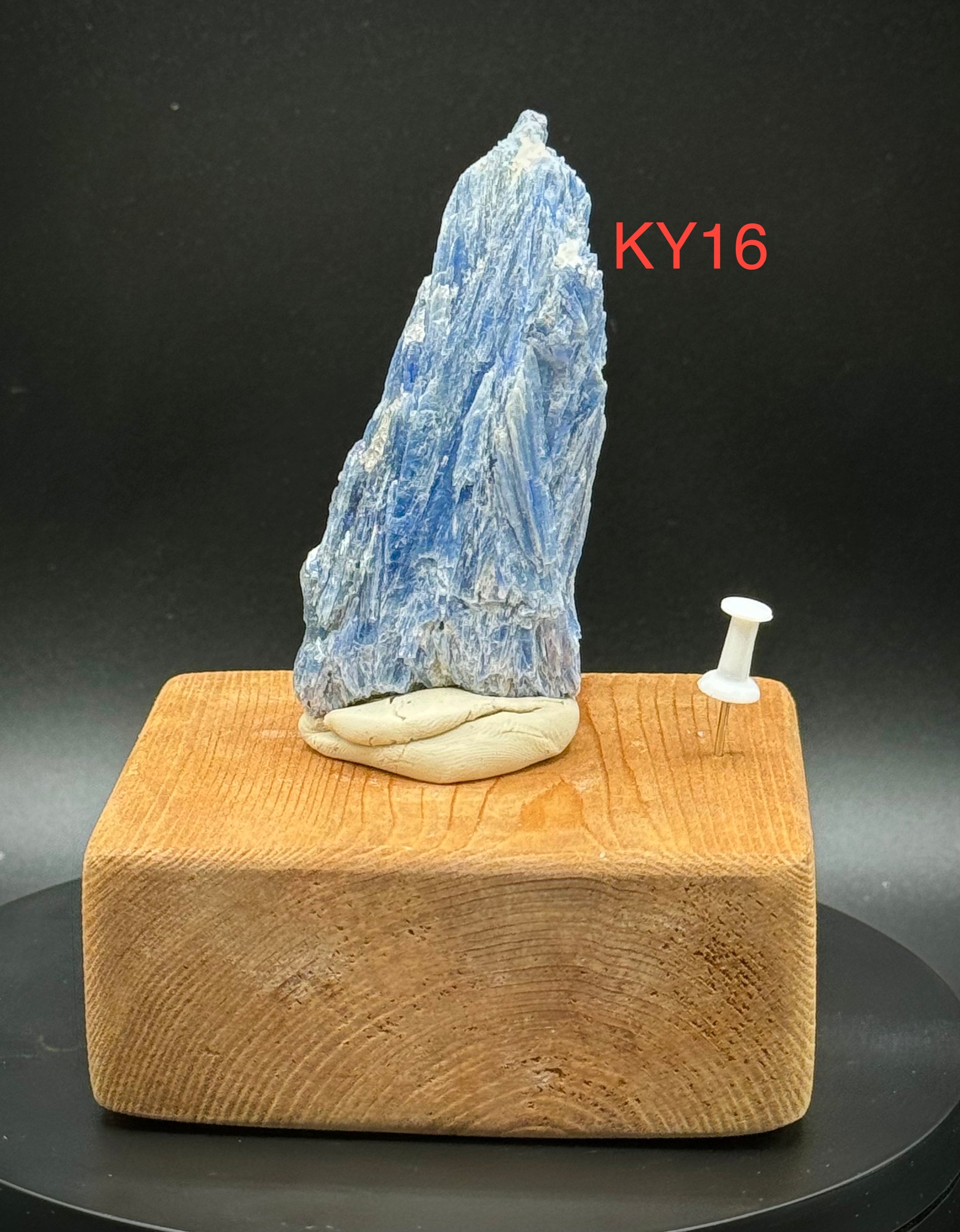 Beautiful Blue Kyanite Clusters from Brazil, A+++ Super Extra Quality, Pick Your Piece! - The Celestial Boutique