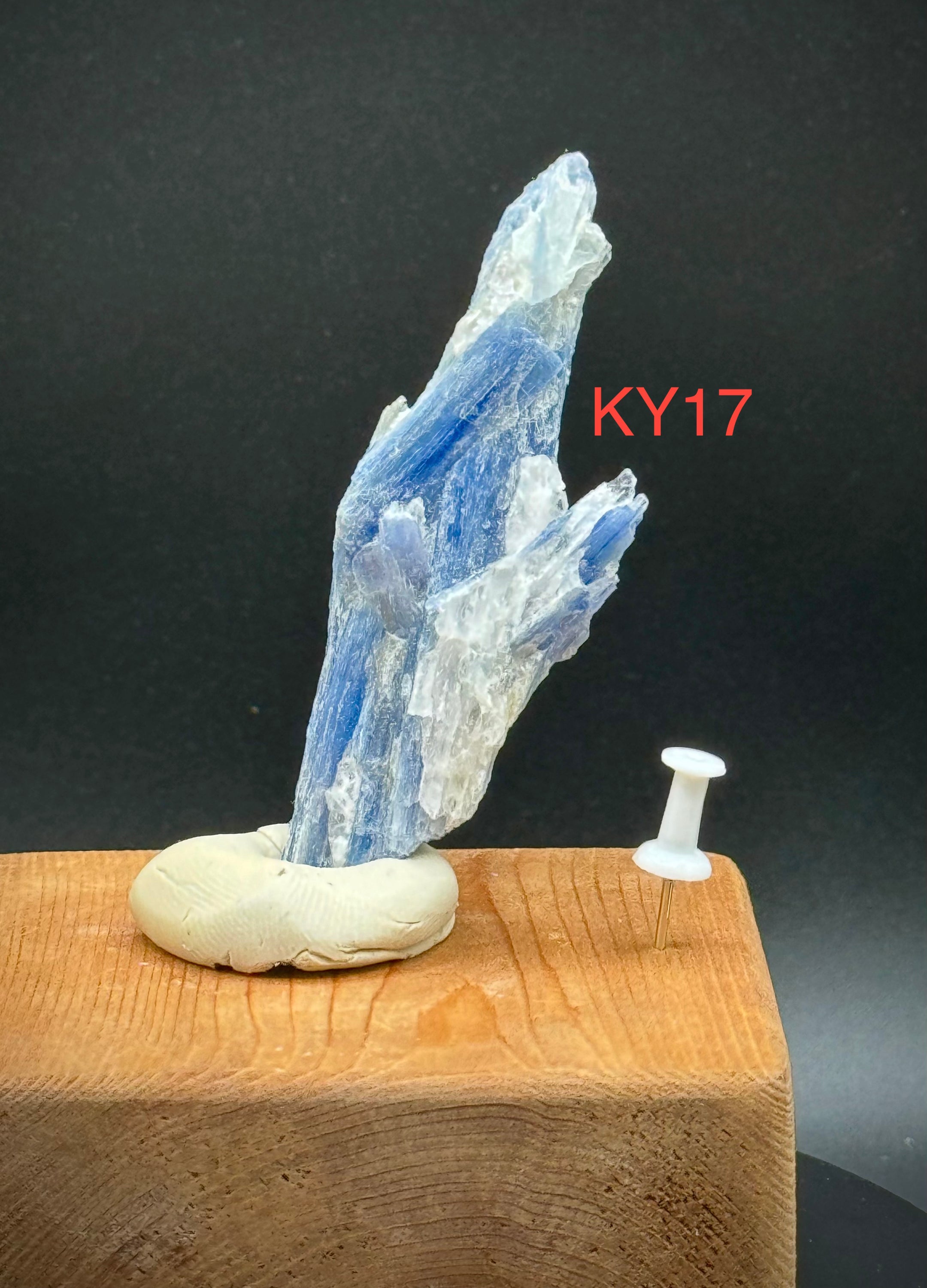 Beautiful Blue Kyanite Clusters from Brazil, A+++ Super Extra Quality, Pick Your Piece! - The Celestial Boutique