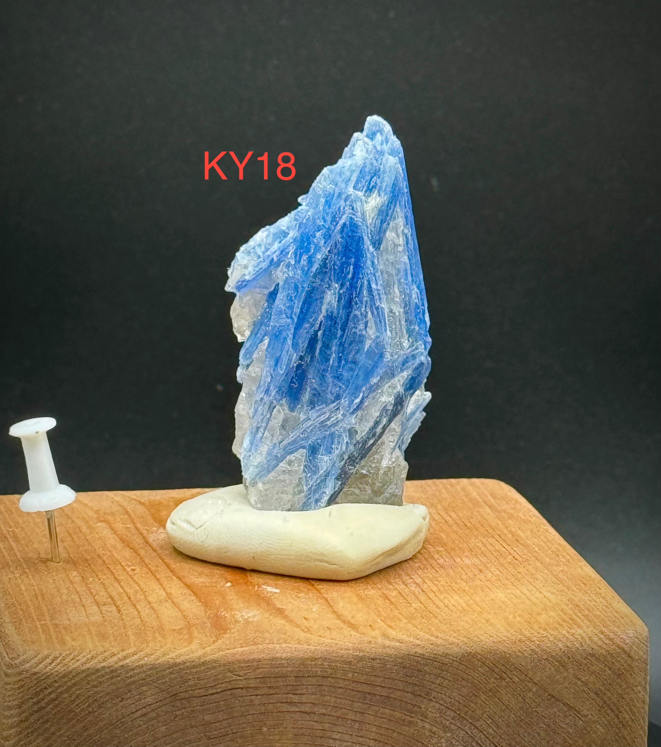 Beautiful Blue Kyanite Clusters from Brazil, A+++ Super Extra Quality, Pick Your Piece! - The Celestial Boutique