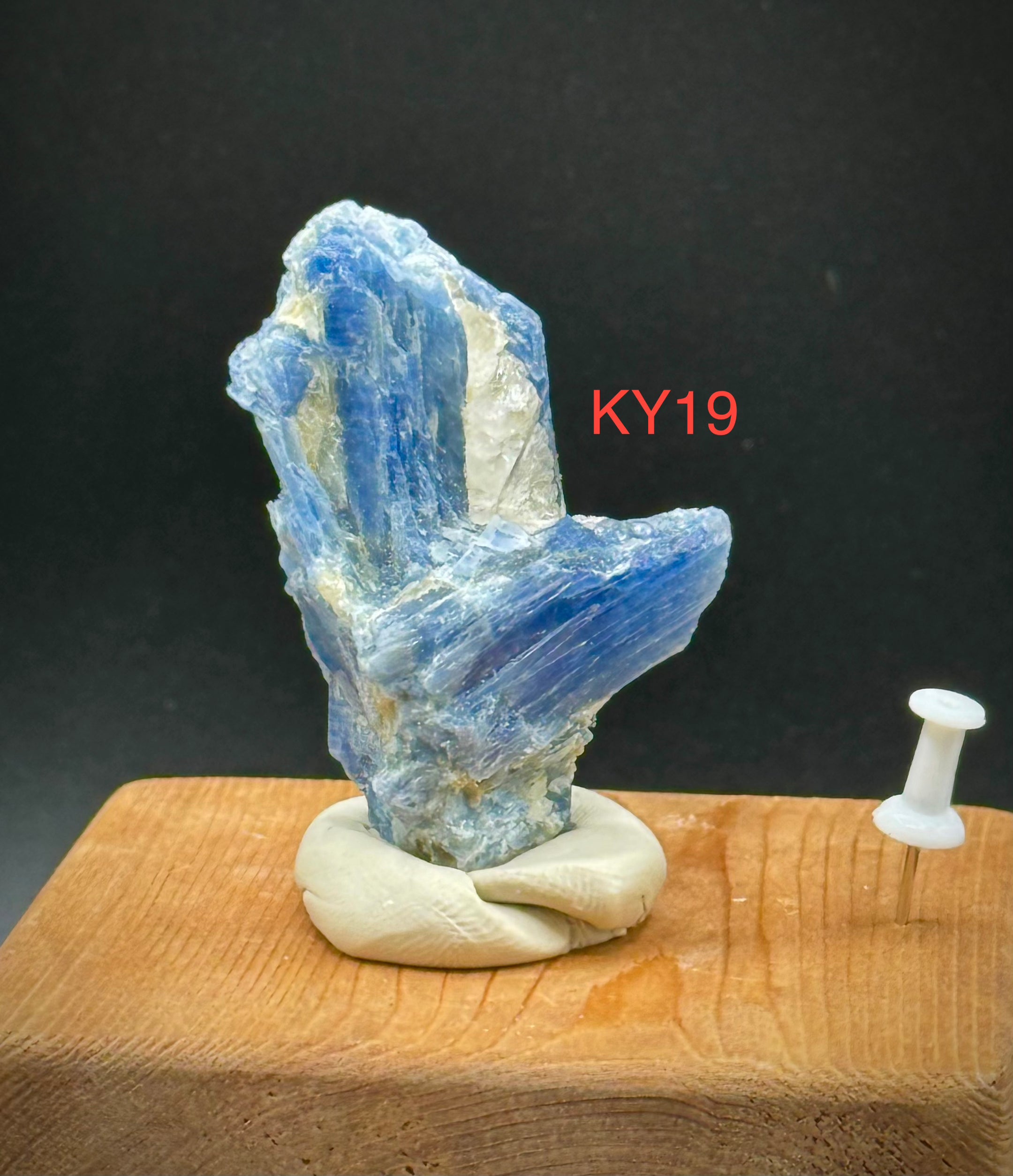 Beautiful Blue Kyanite Clusters from Brazil, A+++ Super Extra Quality, Pick Your Piece! - The Celestial Boutique