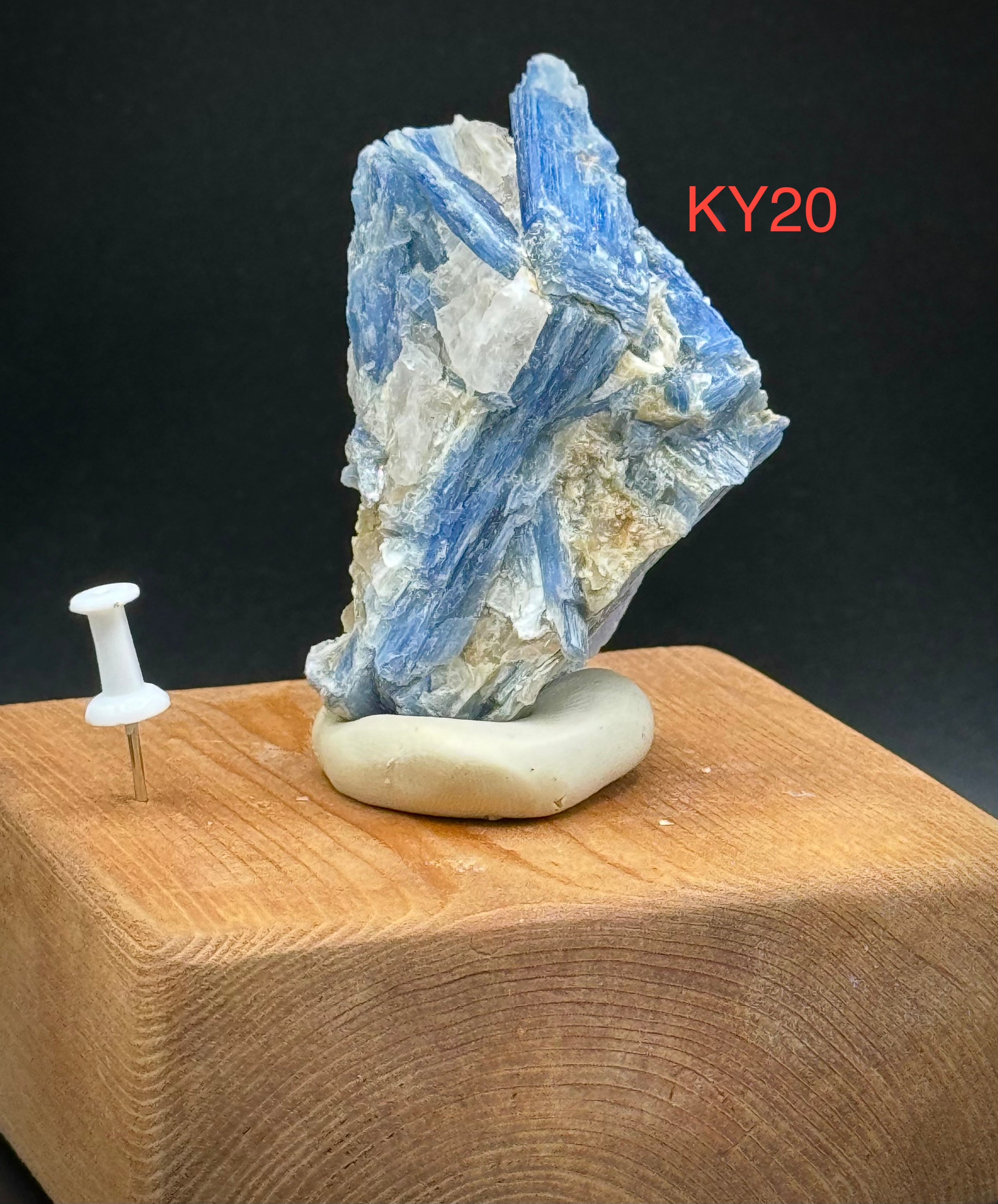 Beautiful Blue Kyanite Clusters from Brazil, A+++ Super Extra Quality, Pick Your Piece! - The Celestial Boutique