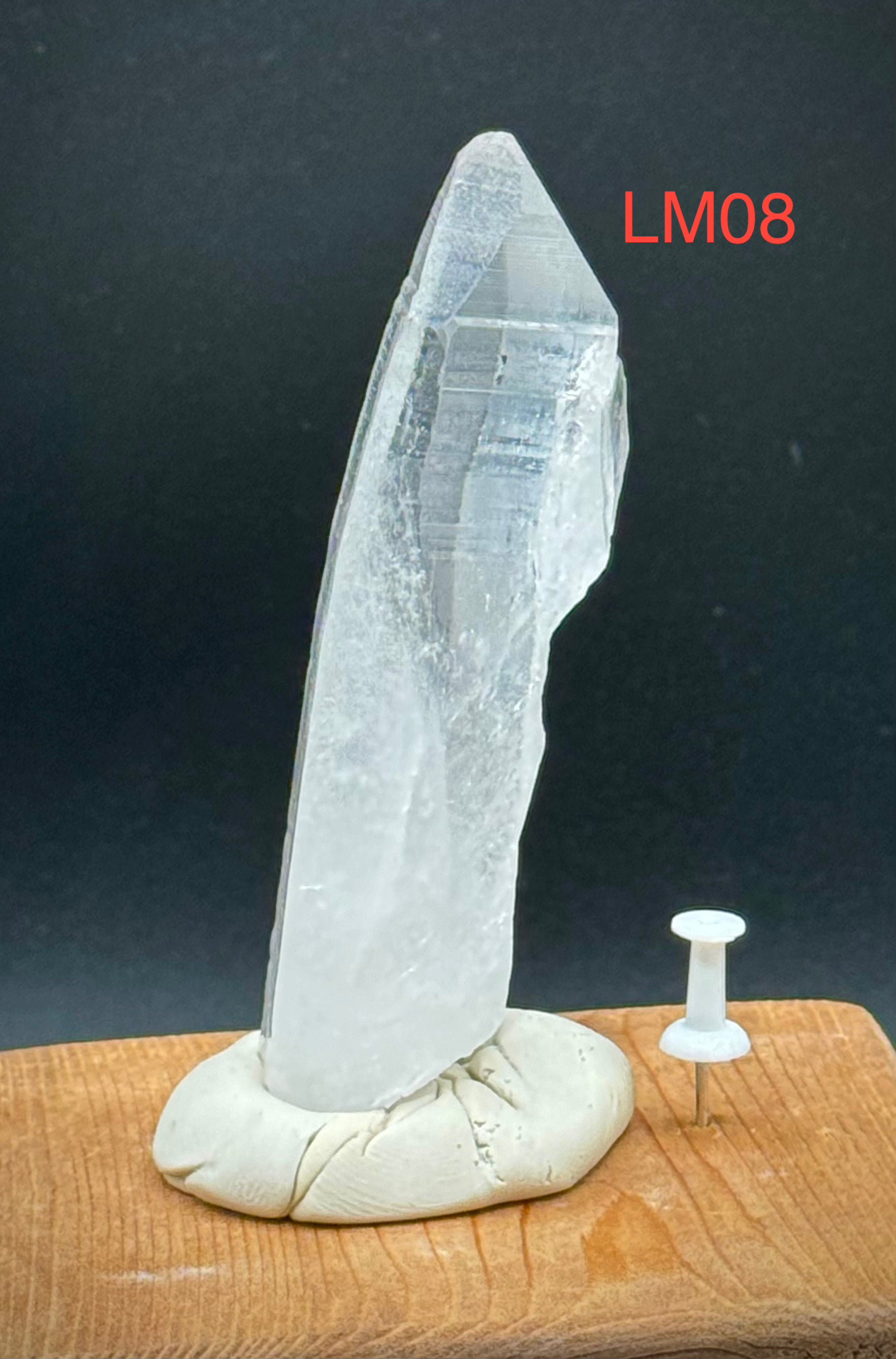 Lemurian Quartz Points from Brazil! Beautiful and High Quality! Pick Your Piece! 60-100 Grams - The Celestial Boutique