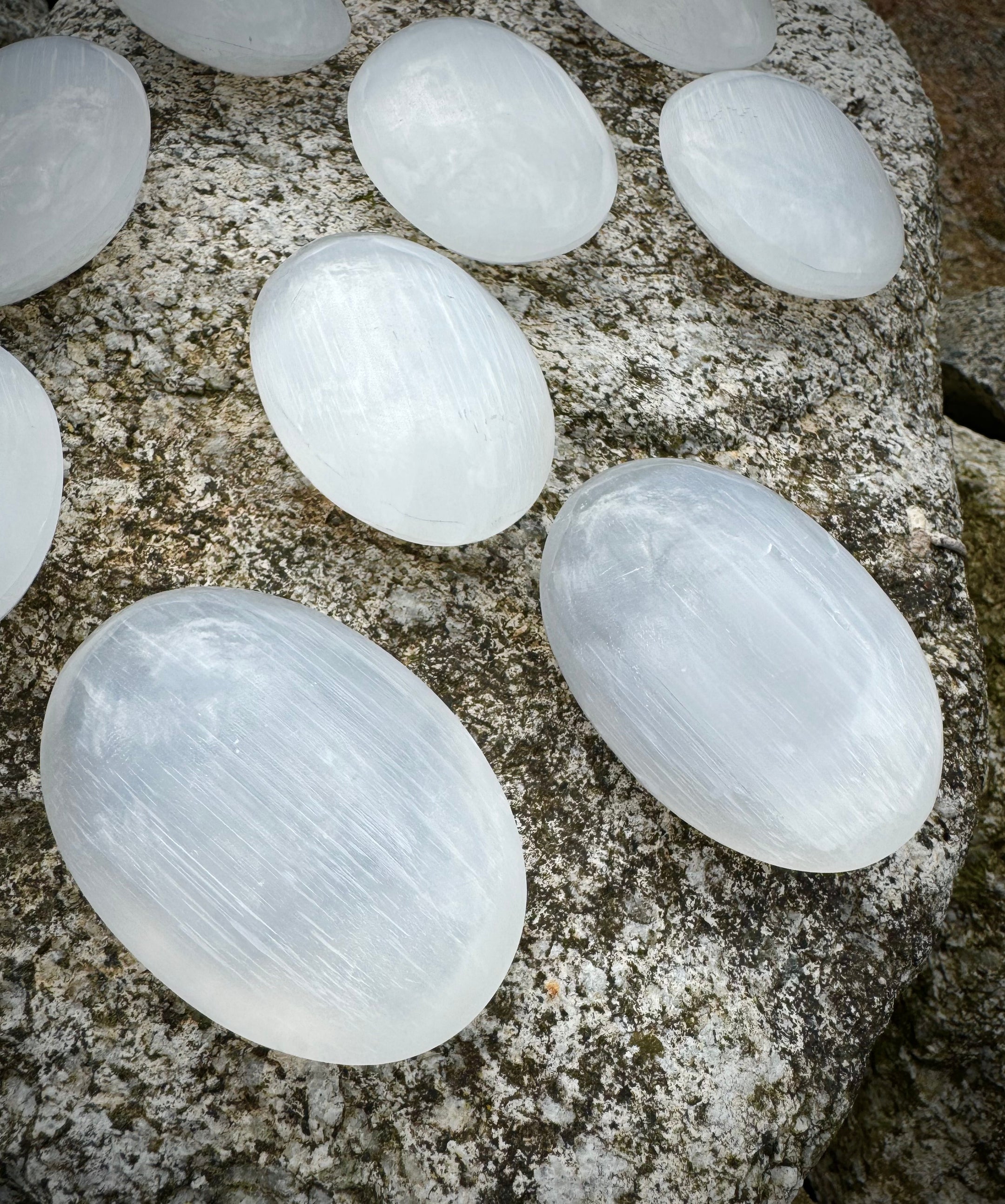 Pierres de palmier en sélénite polies du Brésil, de grande qualité, à haute vibration !