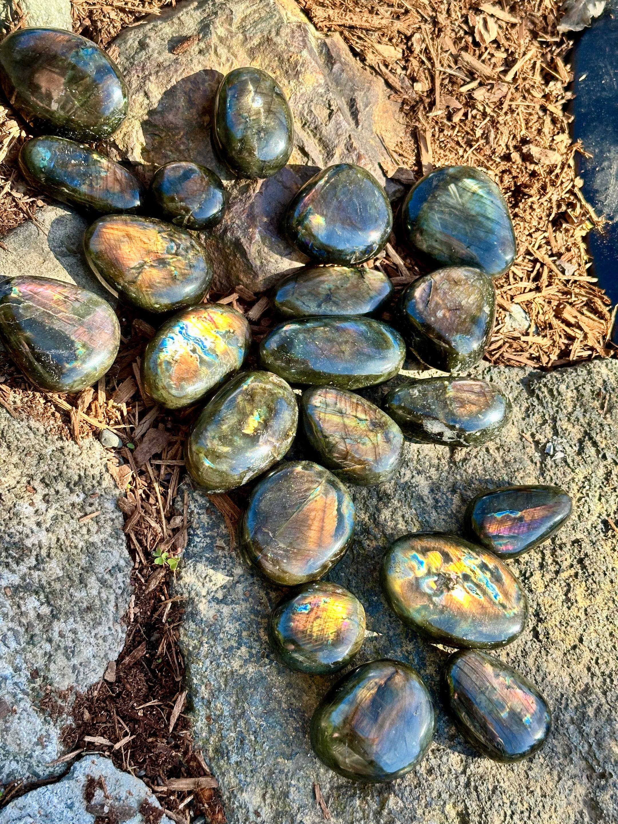 Labradorite Palm Stones, Beautiful and Flashy, 3 Sizes to Choose From, Healing Crystals, Unique Gift, Elegant Design - The Celestial Boutique