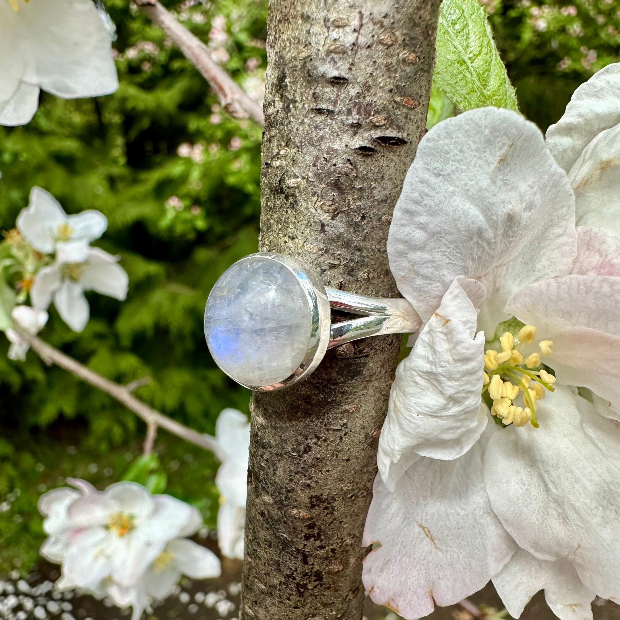 Bague en cristal de pierre de lune arc-en-ciel, Amazing Flash - Argent sterling 925, belle et authentique, taille 9