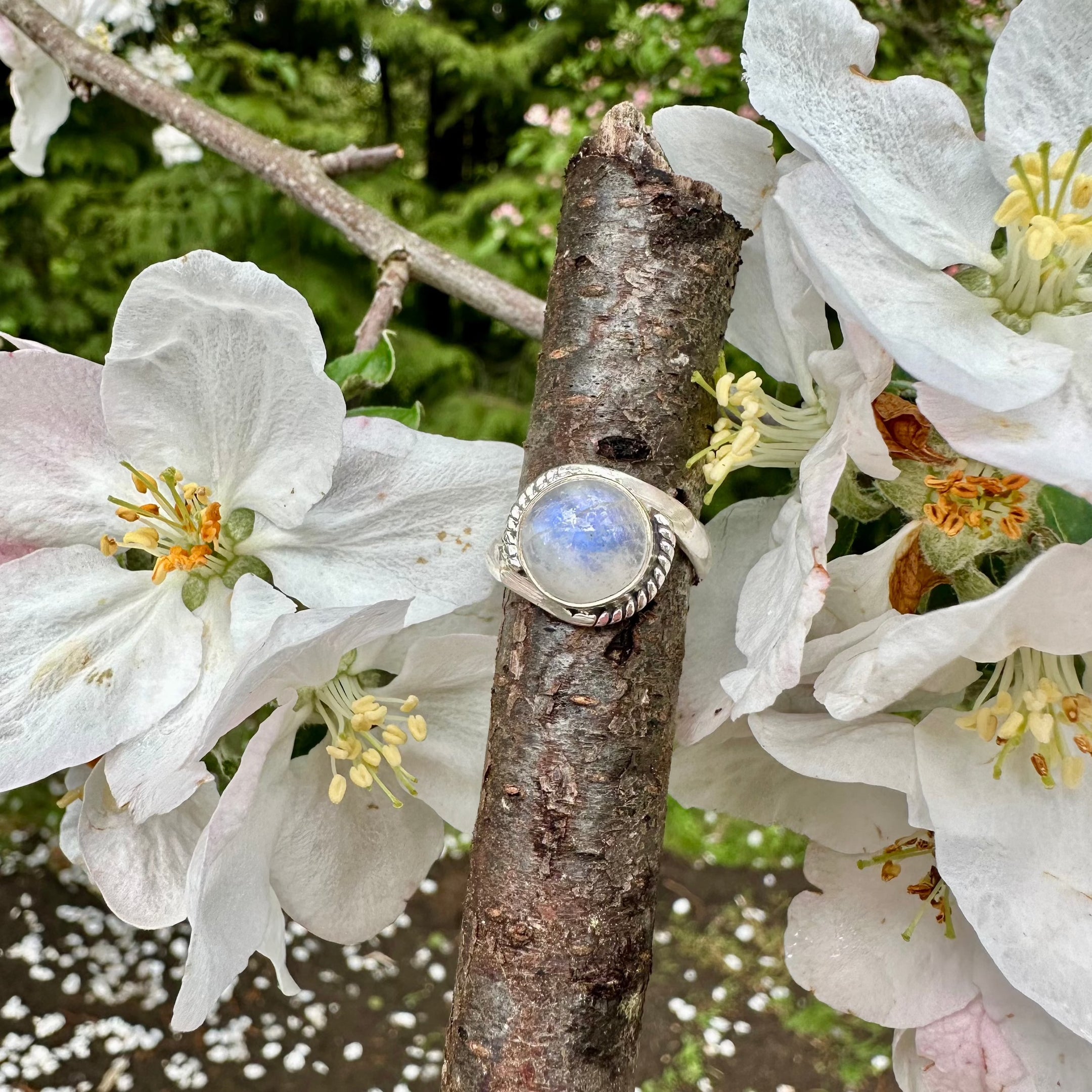 Bague en cristal de pierre de lune arc-en-ciel, flash incroyable, argent sterling 925, beau et authentique, bijoux élégants, cadeau unique