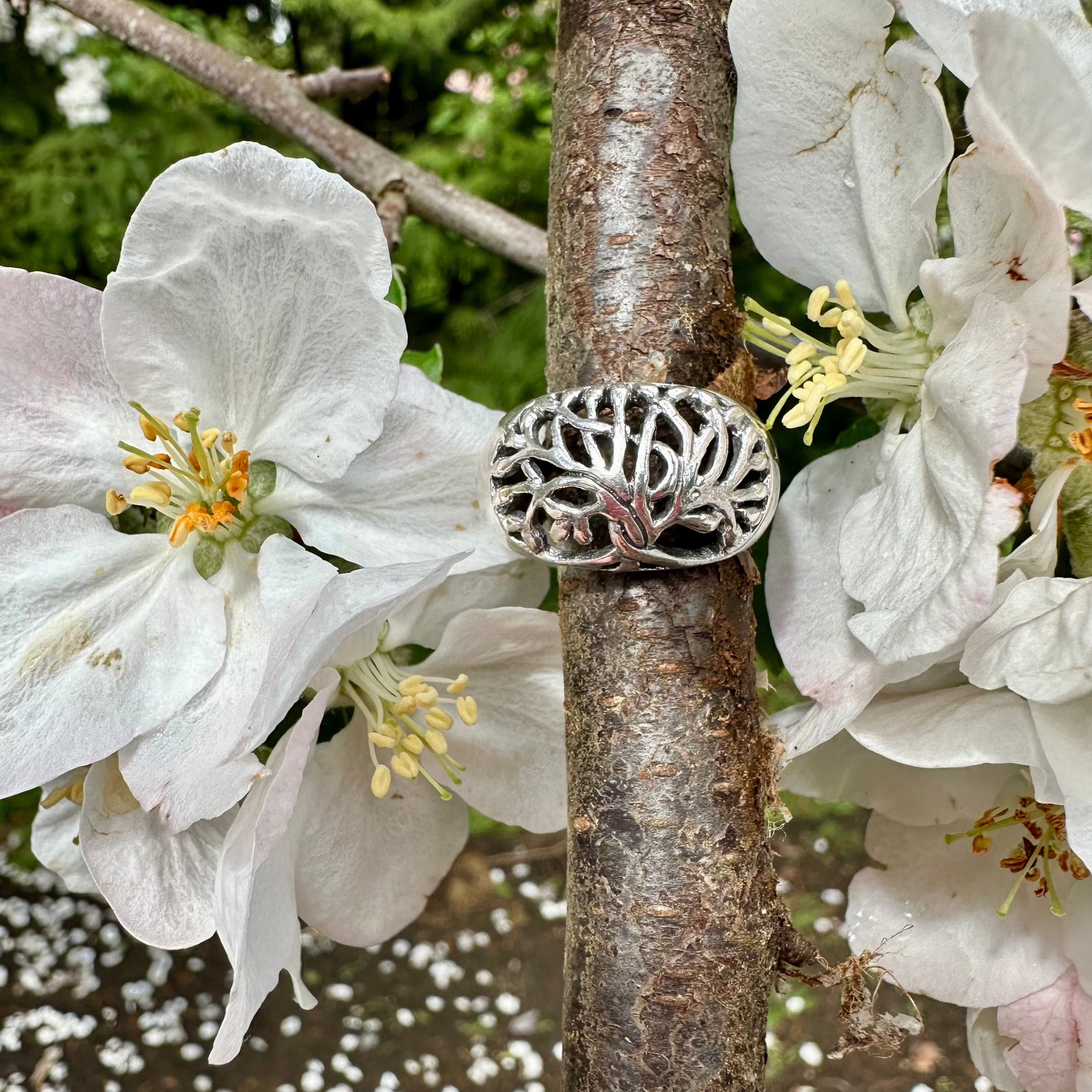 Bague Arbre de Vie, Argent Sterling 925, Belle et Authentique, Bijoux Élégants, Cadeau Symbolique