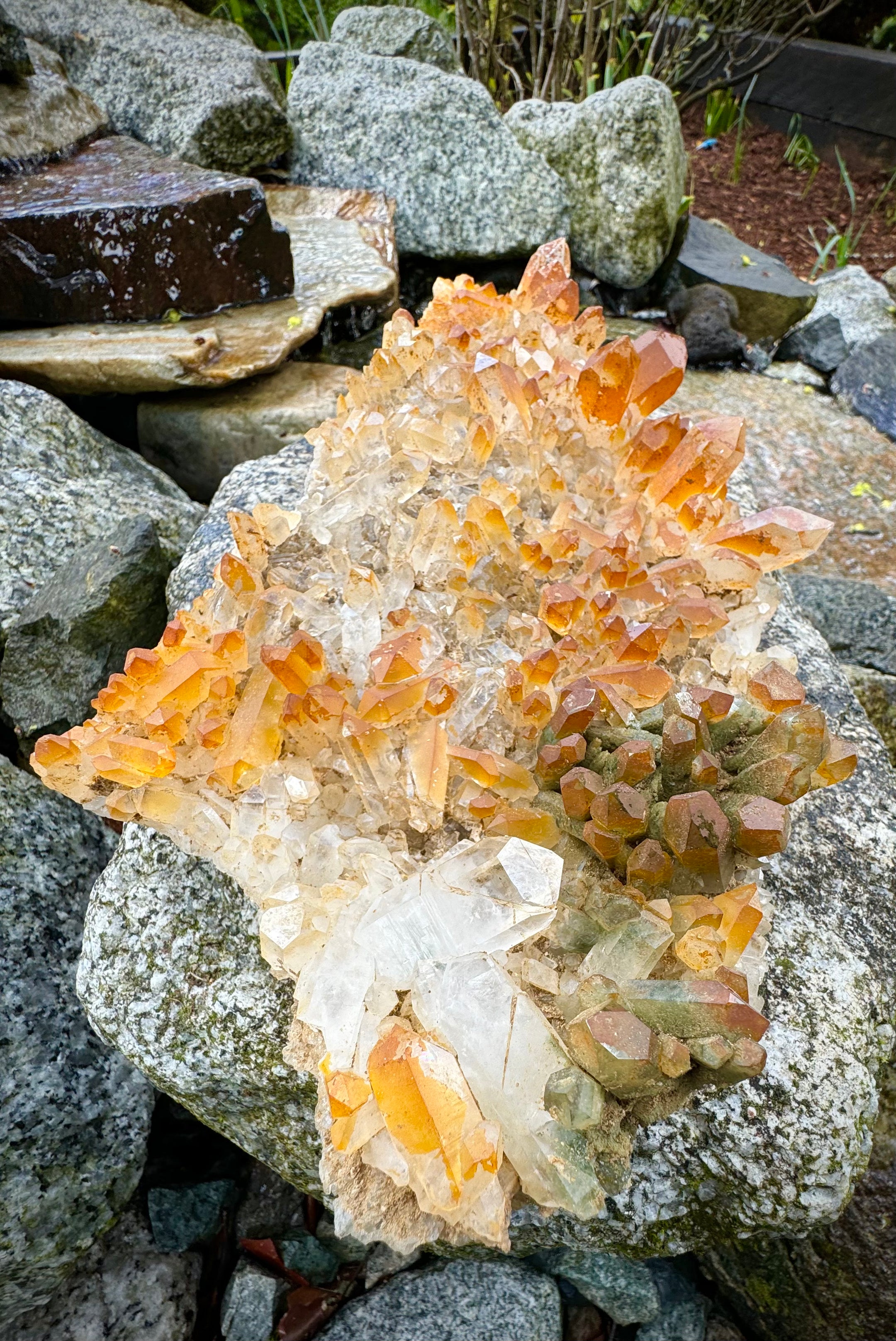 Huge and Amazing Yellow Quartz, Chlorine Quartz, Clear Quartz Multi Cluster from Pakistan, 1479 Grams, A+++ - The Celestial Boutique