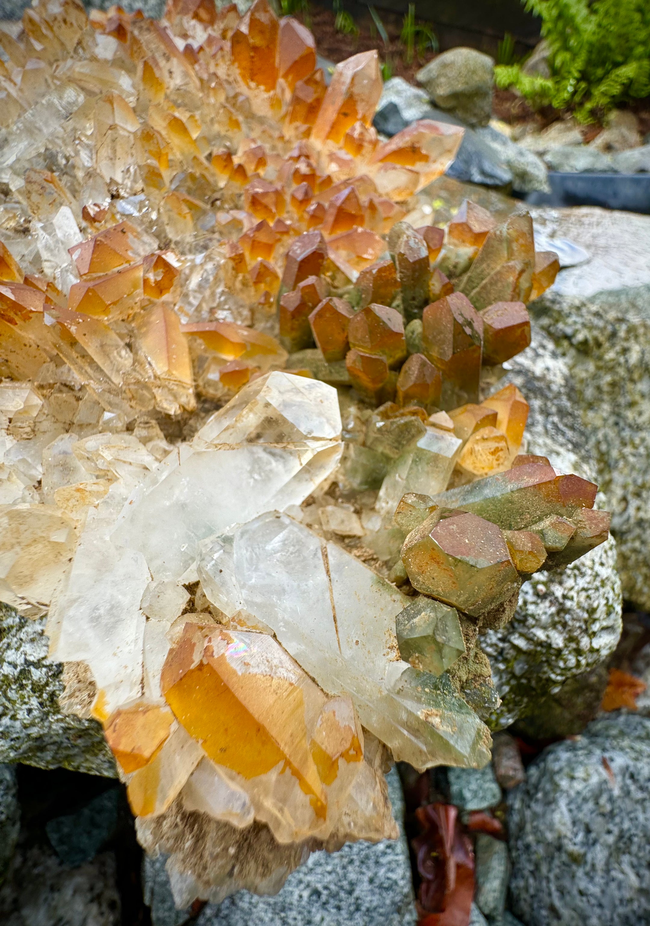 Huge and Amazing Yellow Quartz, Chlorine Quartz, Clear Quartz Multi Cluster from Pakistan, 1479 Grams, A+++ - The Celestial Boutique