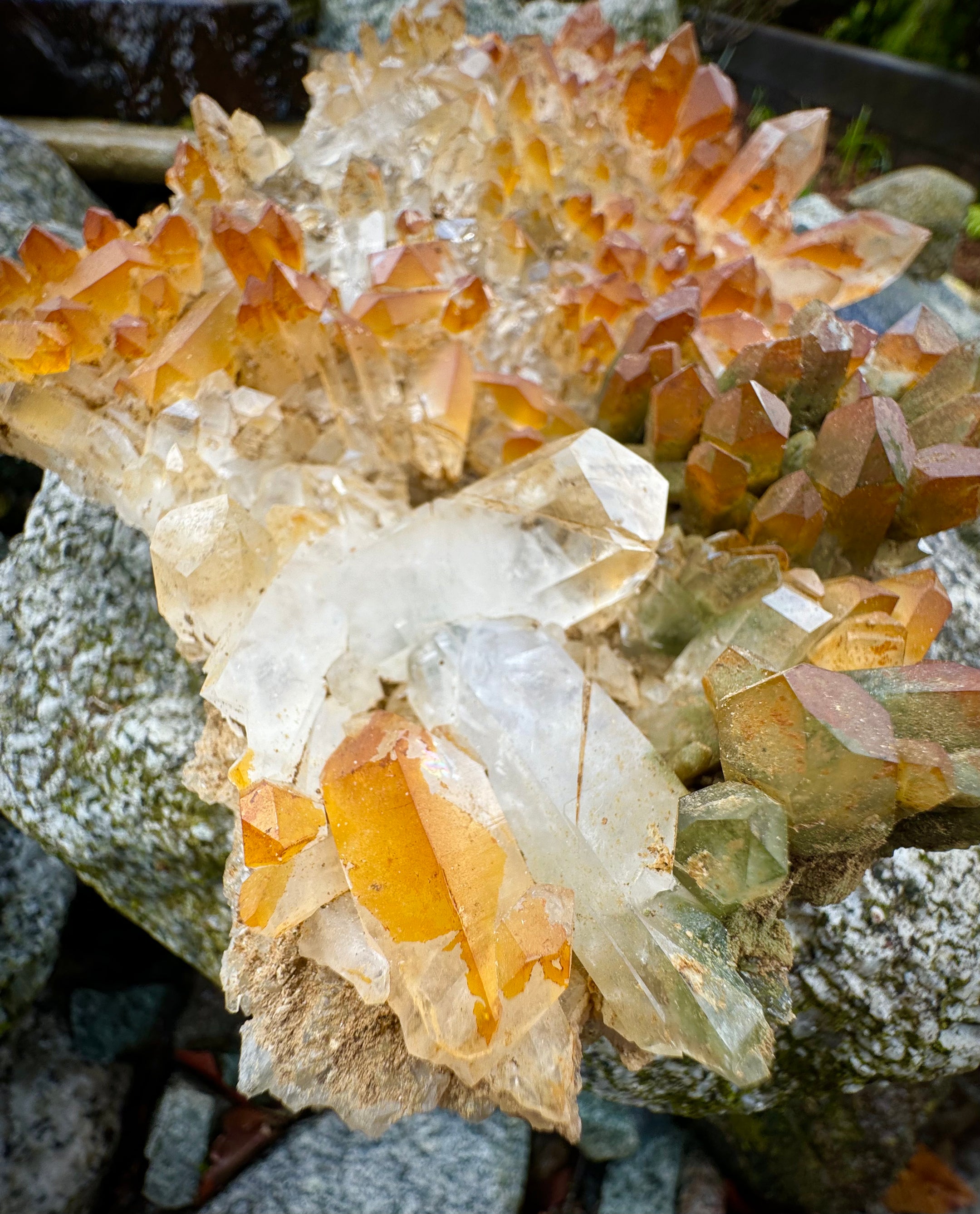 Huge and Amazing Yellow Quartz, Chlorine Quartz, Clear Quartz Multi Cluster from Pakistan, 1479 Grams, A+++ - The Celestial Boutique