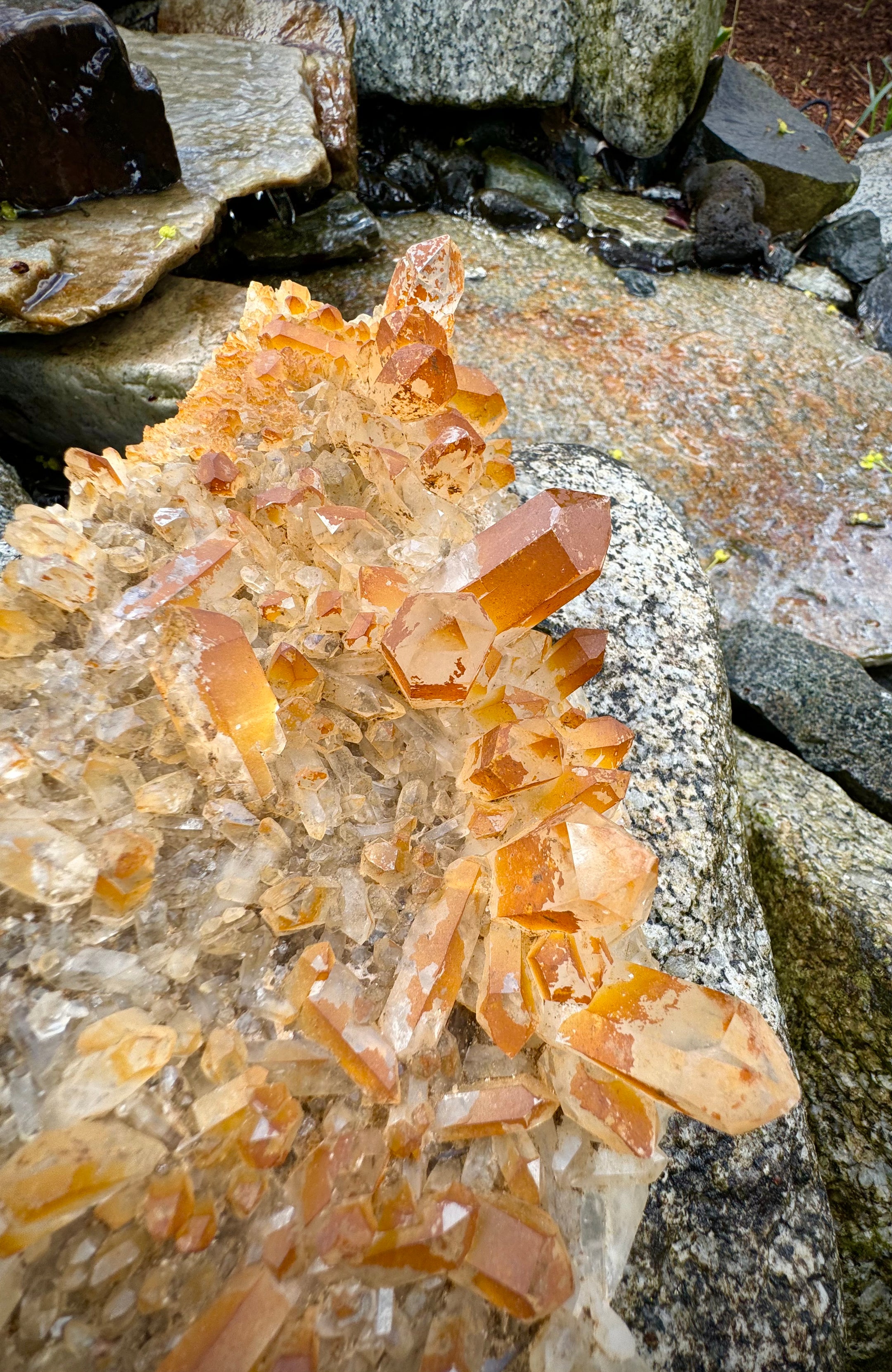 Huge and Amazing Yellow Quartz, Chlorine Quartz, Clear Quartz Multi Cluster from Pakistan, 1479 Grams, A+++ - The Celestial Boutique