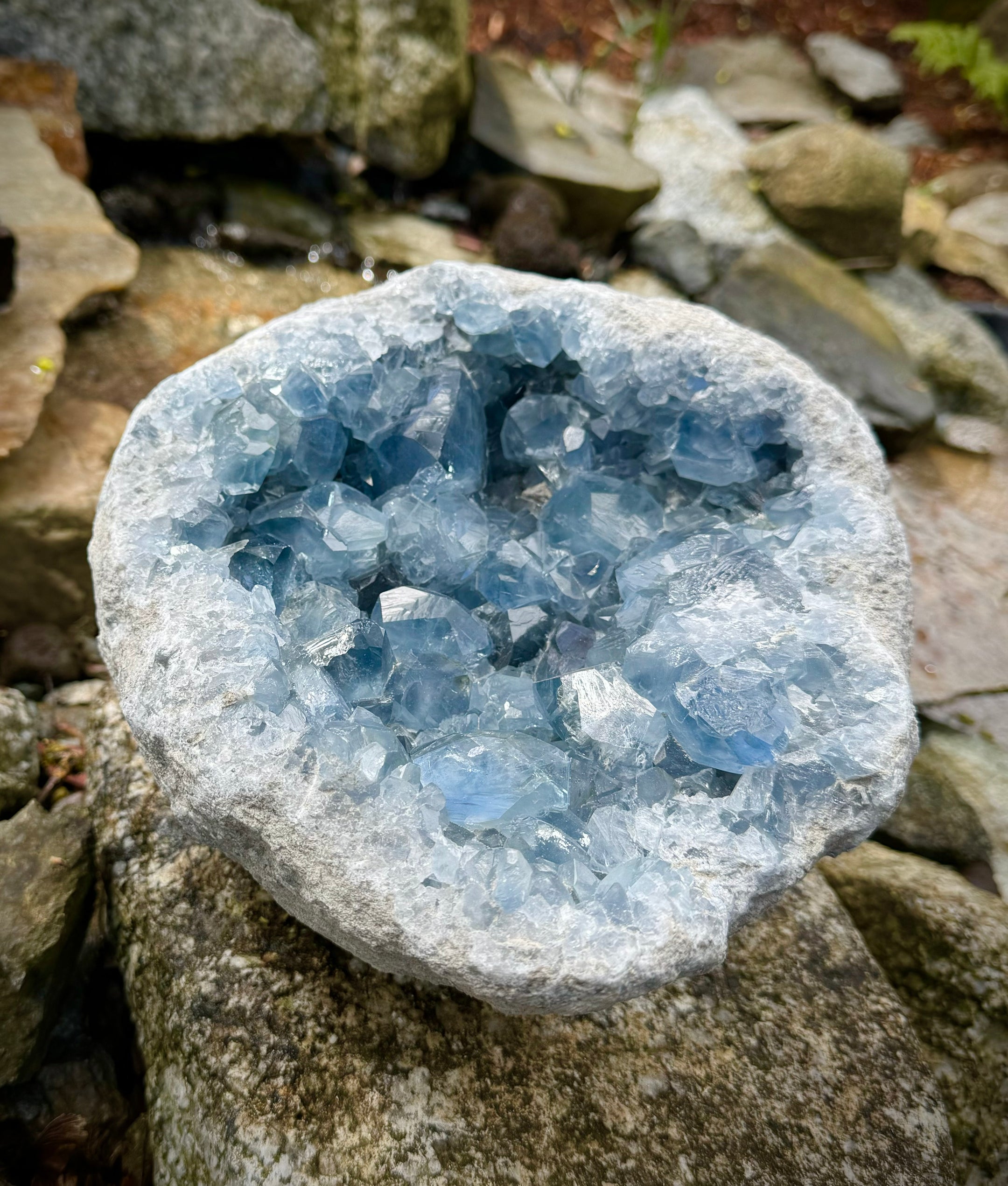 Natural Celestite XXXL Specimen A+++ Clear, Big Gemmy Cubes, Quality, Beautiful and Rare, 8.5KG - The Celestial Boutique