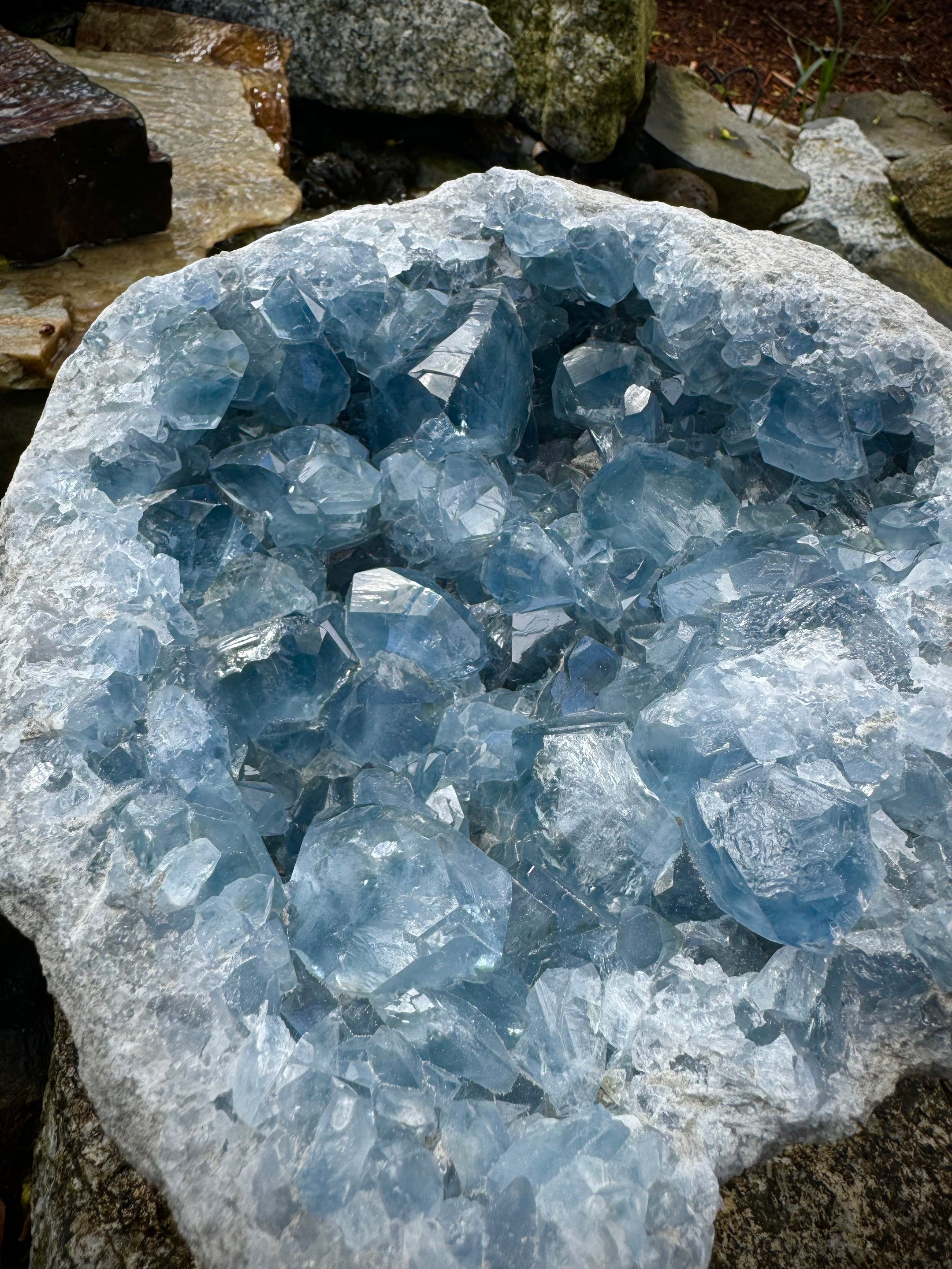 Natural Celestite XXXL Specimen A+++ Clear, Big Gemmy Cubes, Quality, Beautiful and Rare, 8.5KG - The Celestial Boutique