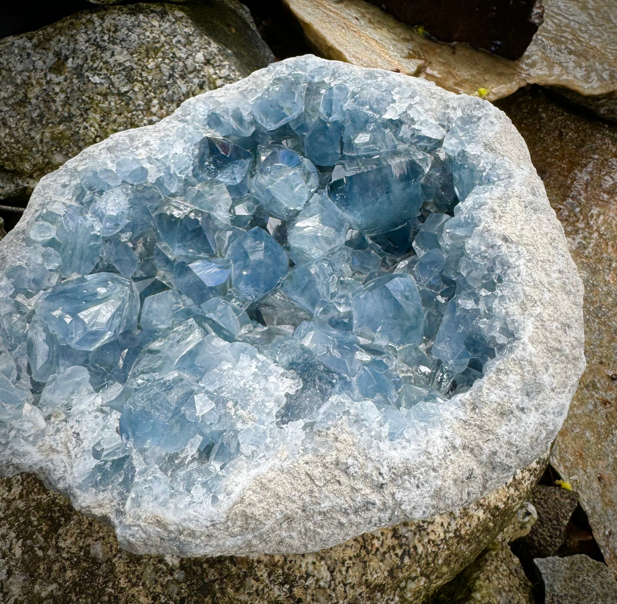 Natural Celestite XXXL Specimen A+++ Clear, Big Gemmy Cubes, Quality, Beautiful and Rare, 8.5KG - The Celestial Boutique