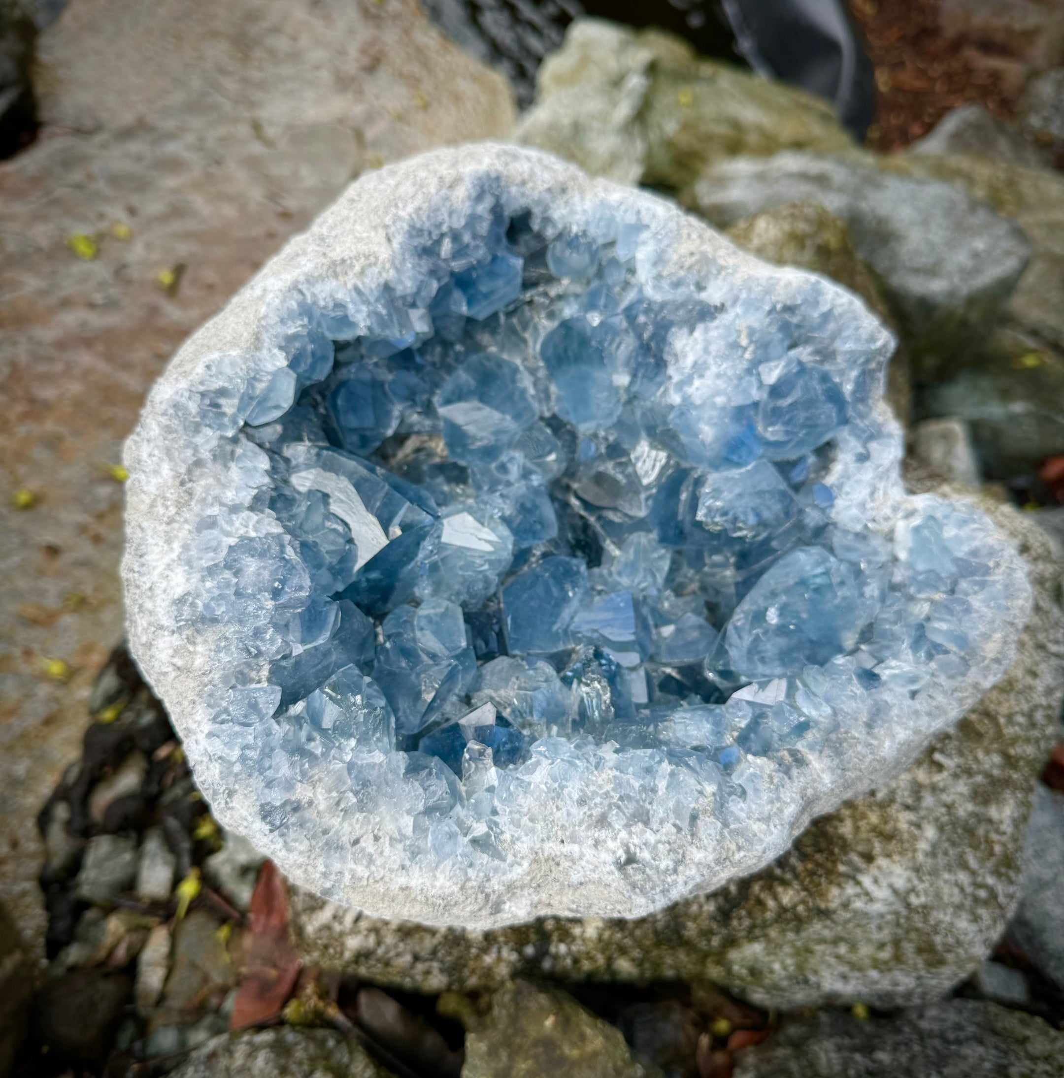 Natural Celestite XXXL Specimen A+++ Clear, Big Gemmy Cubes, Quality, Beautiful and Rare, 8.5KG - The Celestial Boutique