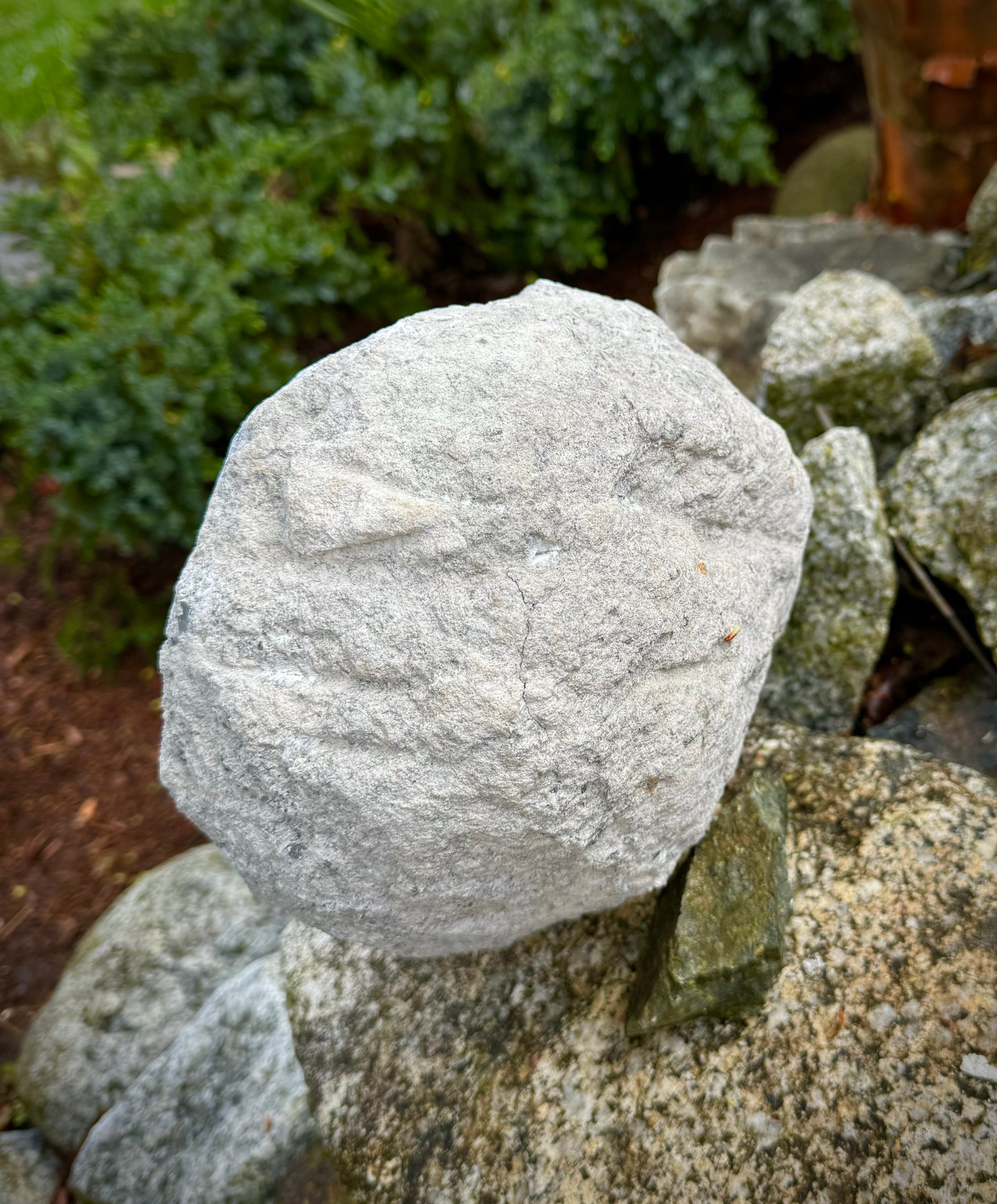 Natural Celestite XXXL Specimen A+++ Clear, Big Gemmy Cubes, Quality, Beautiful and Rare, 8.5KG - The Celestial Boutique