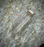 Polished Clear Quartz Point Pendant Sterling Silver .925, Beautiful Gemstone Jewelry - The Celestial Boutique