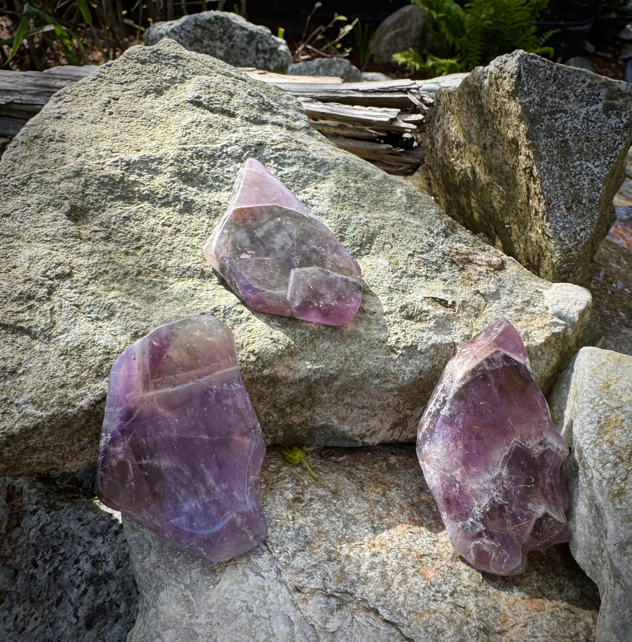 Auralite naturelle 23 tranches polies, authentique, belle, pierre précieuse rare, cristal de guérison, cadeau unique, décor spirituel