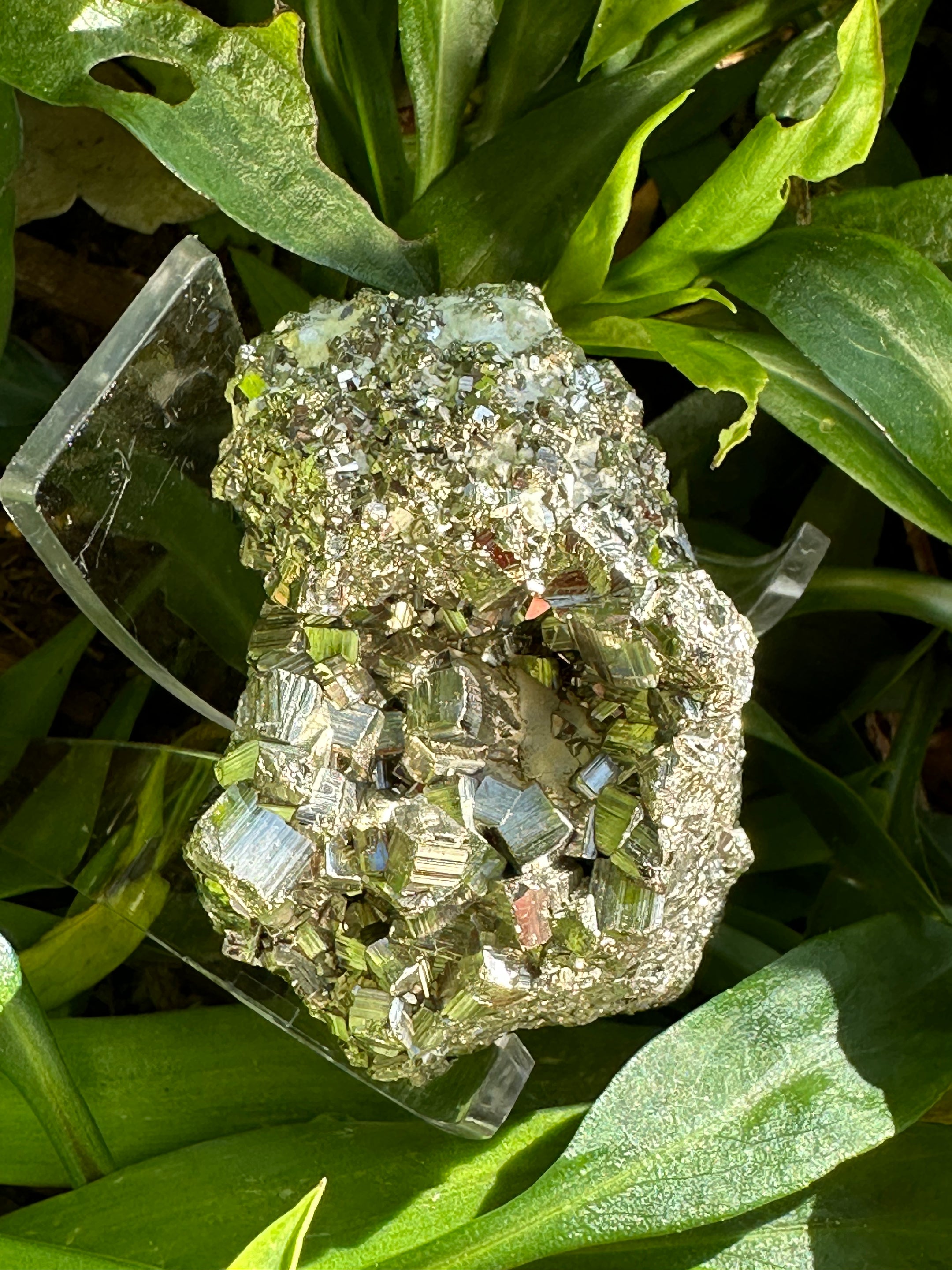 Stunning A Grade Pyrite Cluster from Brazil - High Quality Cubic Pyrite Crystal for Healing, Home Decor, and Meditation - The Celestial Boutique