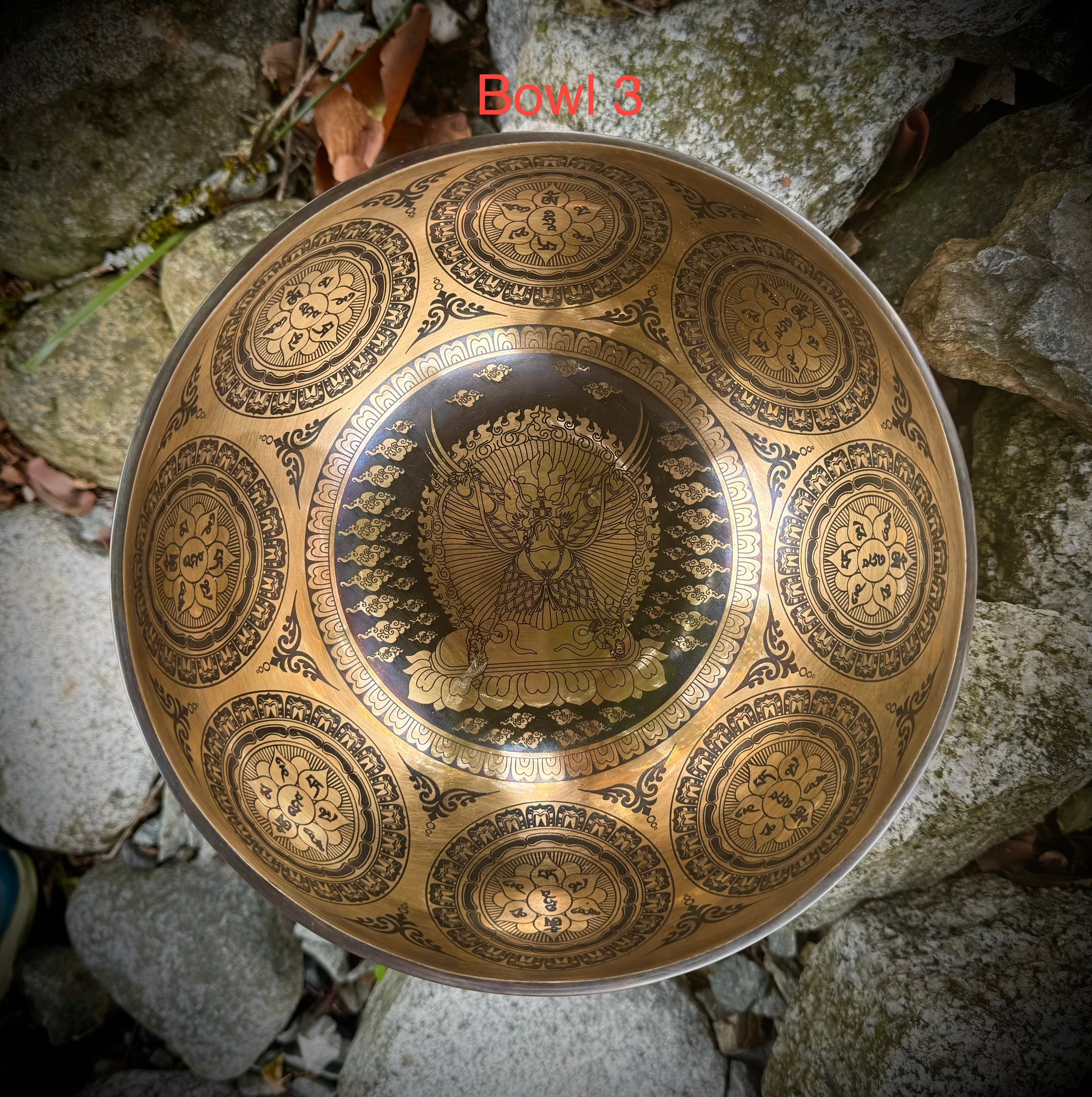 Beautiful Special Carving Tibetan Singing bowls 8-9.5 Inches, 3 designs, Handmade from Nepal - The Celestial Boutique