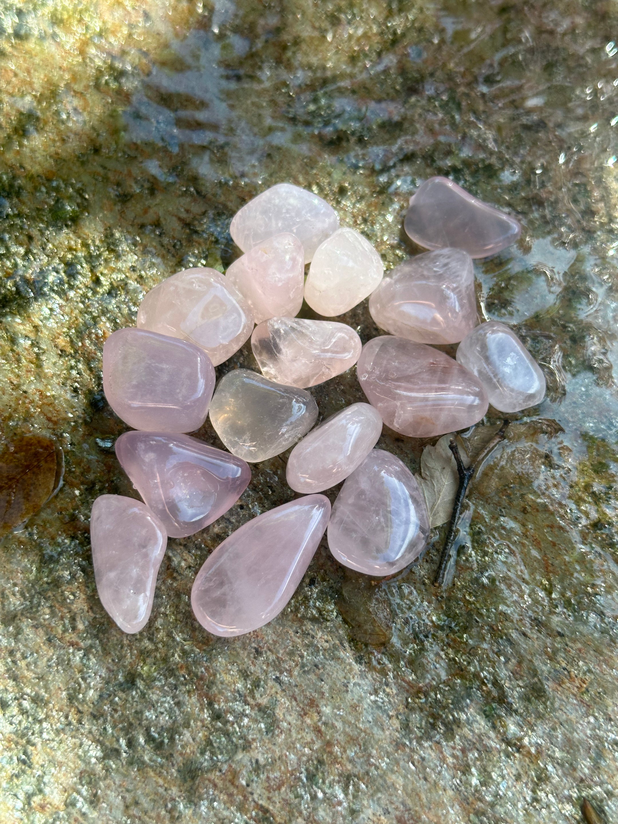 Beautiful Rose Quartz Tumbled Stones from Brazil - Top Quality, Available in Packs of 50g and 100g for Healing and Home Decor - The Celestial Boutique